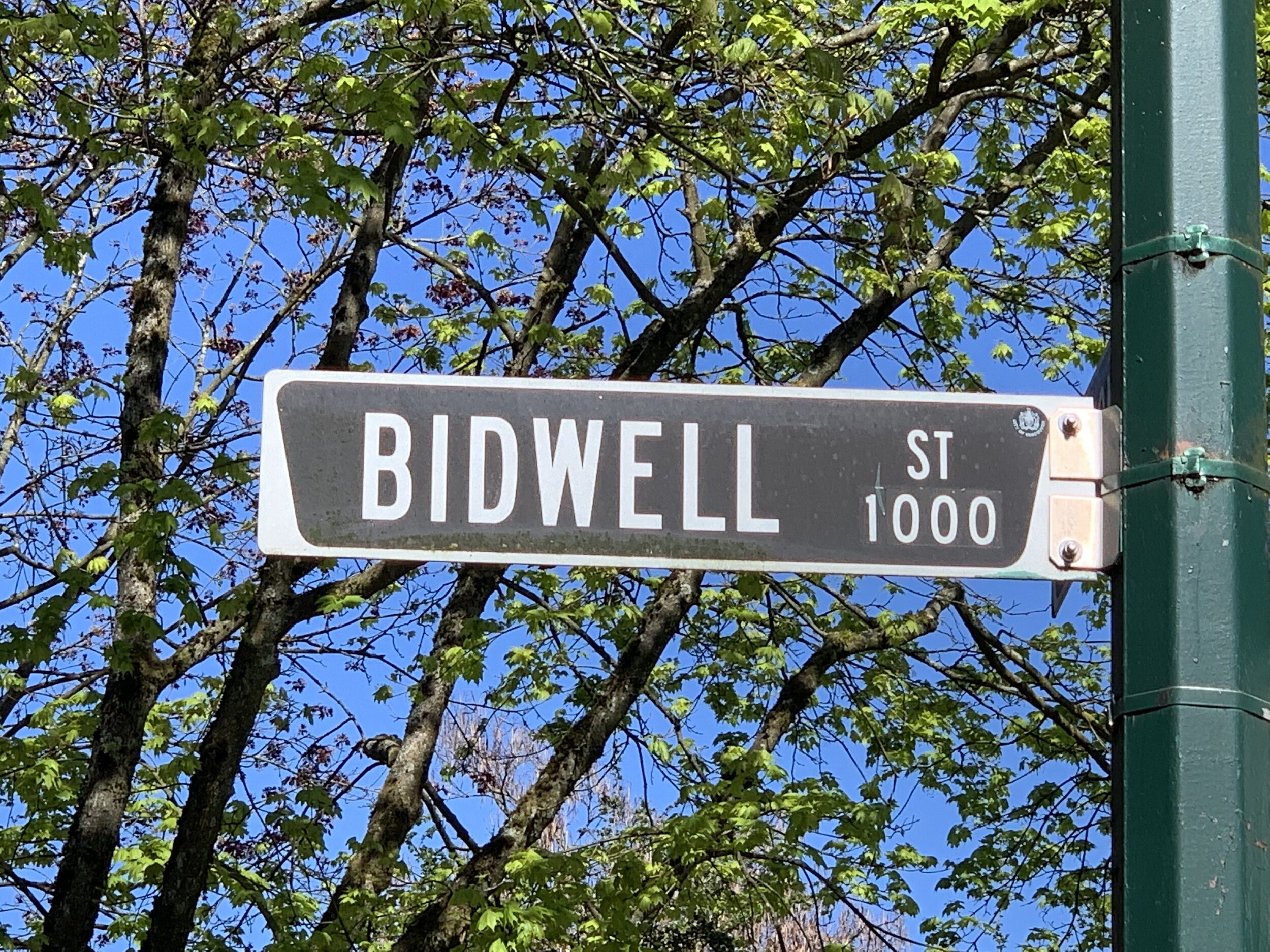 Bidwell II .jpeg