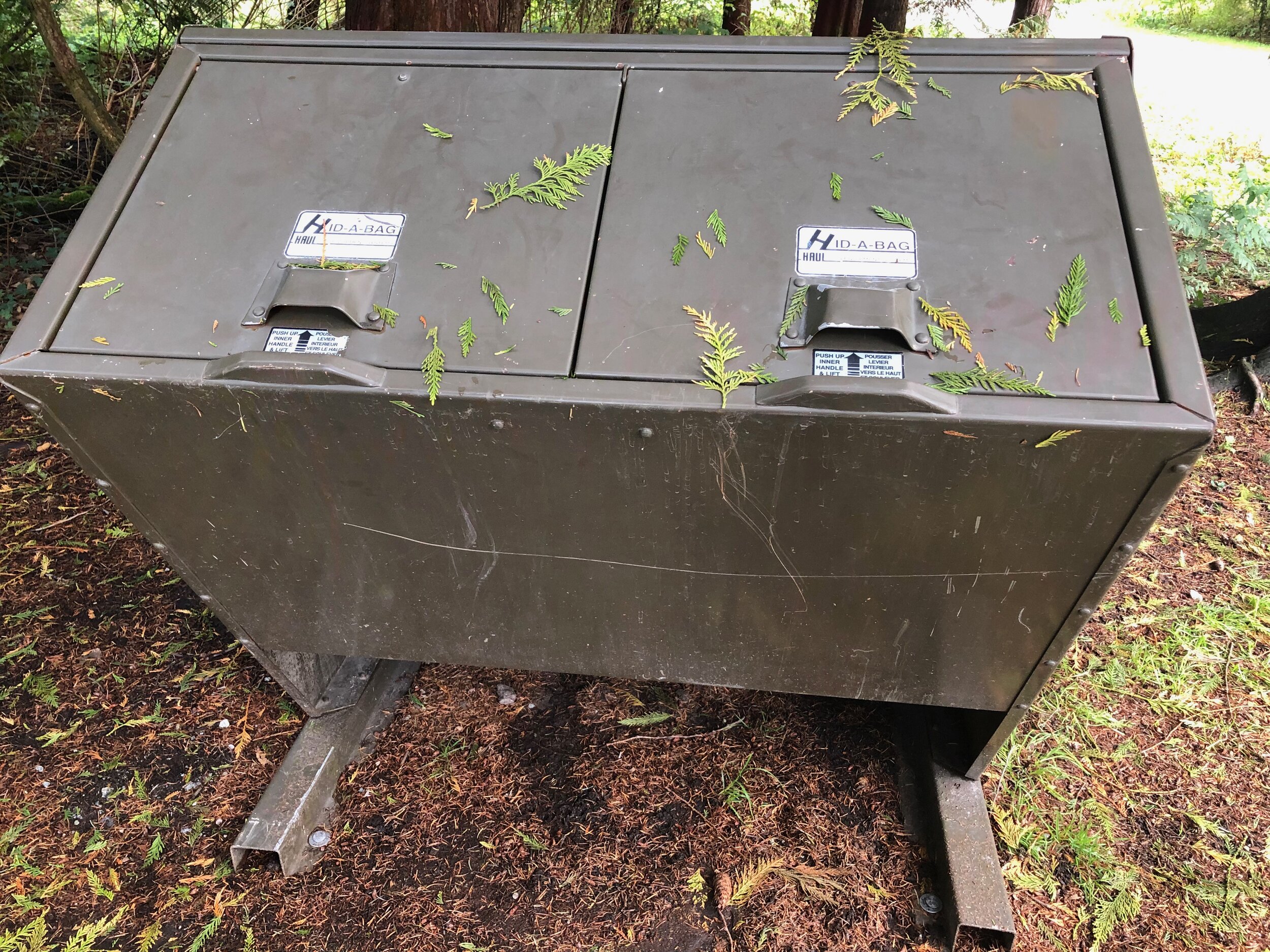 The BCCOS put traps in Stanley Park to catch coyotes - Vancouver