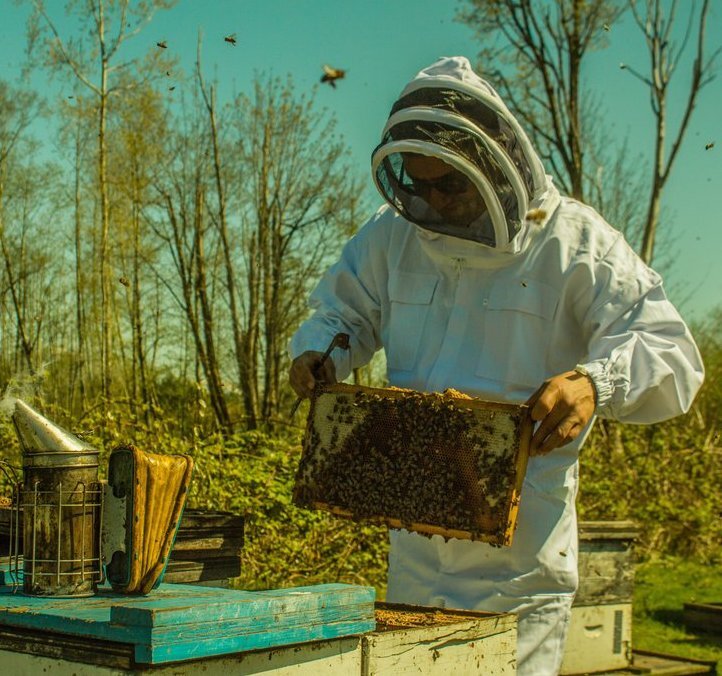 Dr. Iman Tabari tending his hives.