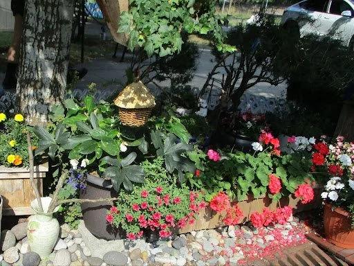 POTS &amp; PLANTS