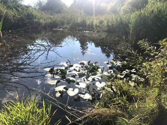 STANLEY PARK NOTEBOOK