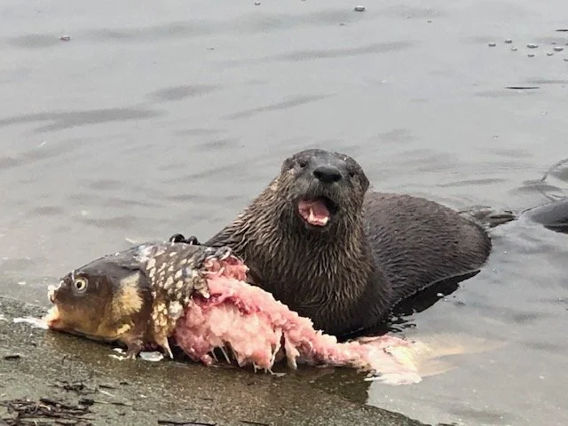 STANLEY PARK NOTEBOOK