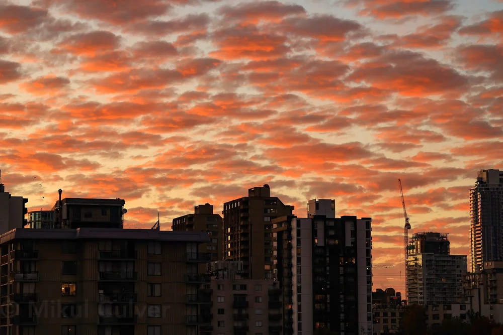 𝗪𝗘𝗦𝗧𝗘𝗥𝗡 𝗦𝗞𝗜𝗘𝗦... A spectacular sunrise moment, just before the rains. (Mikul Culver Photo)