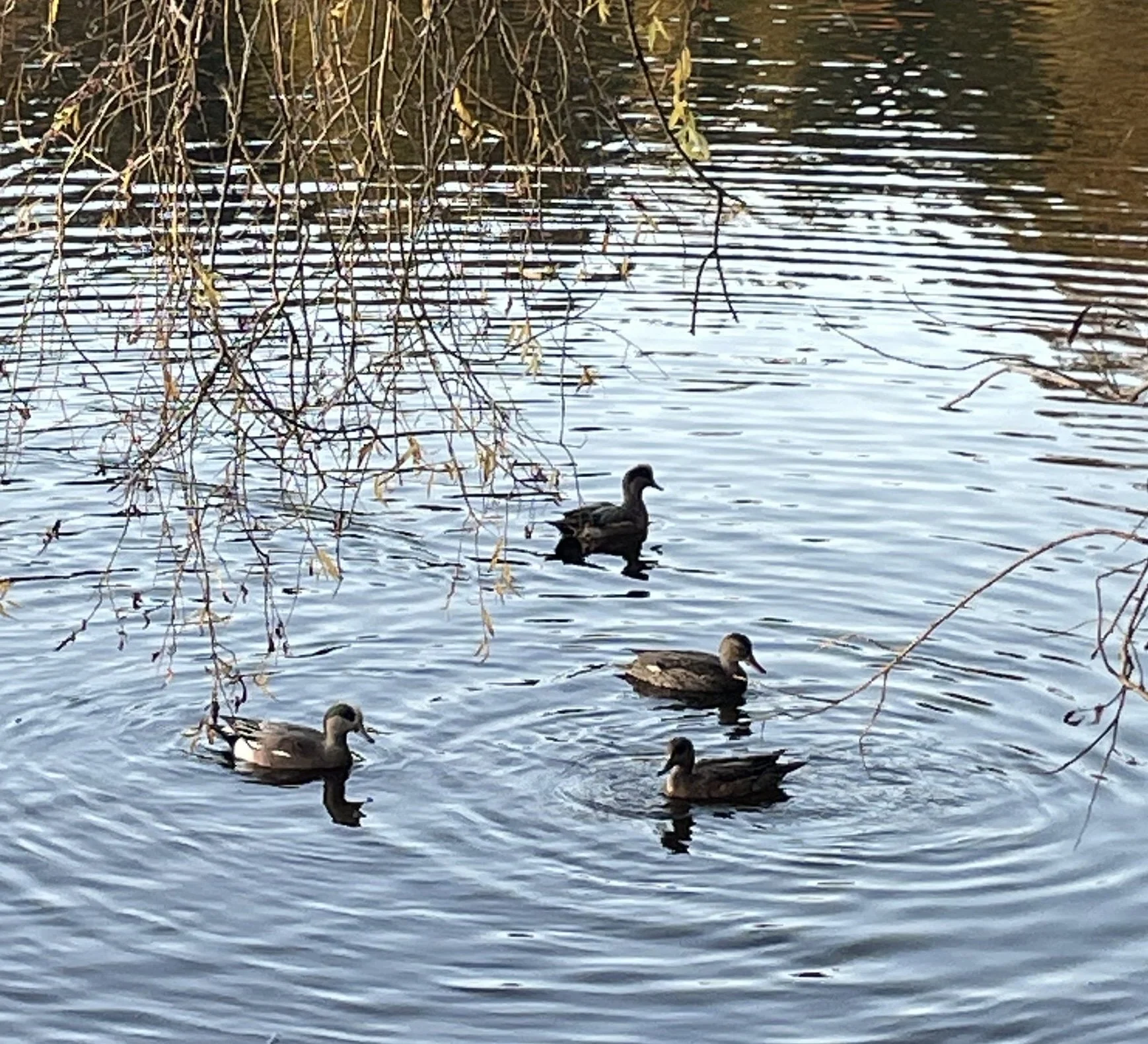 STANLEY PARK NOTEBOOK