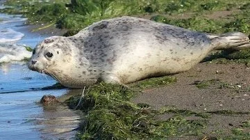 STANLEY PARK NOTEBOOK