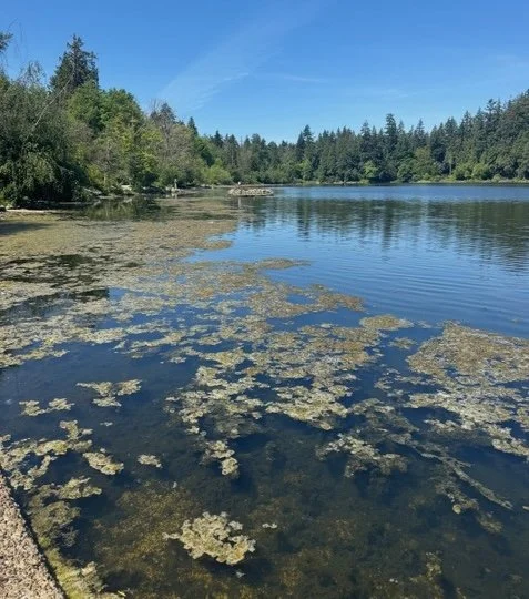 STANLEY PARK NOTEBOOK