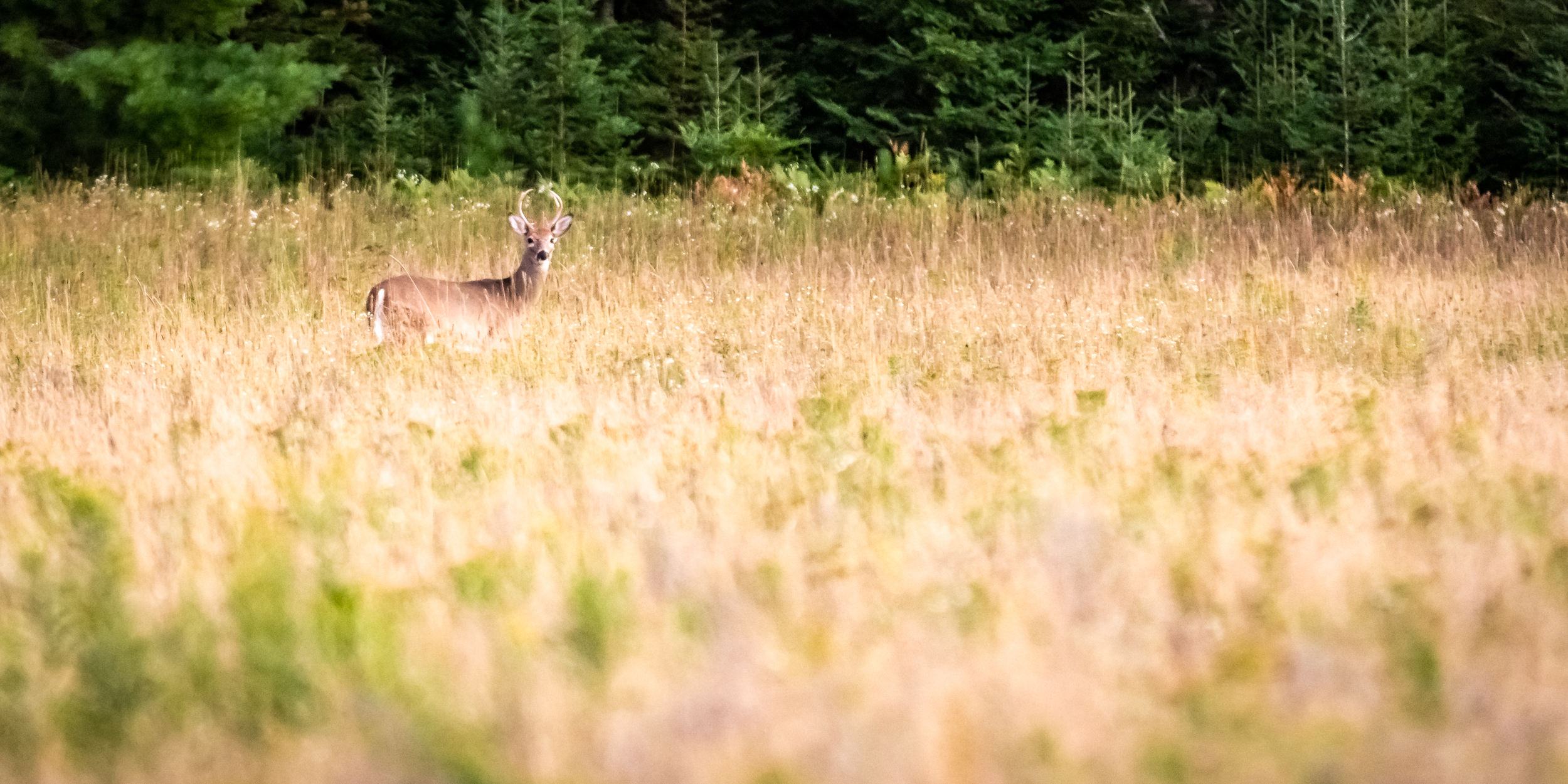 20150913-I62A4806.jpg