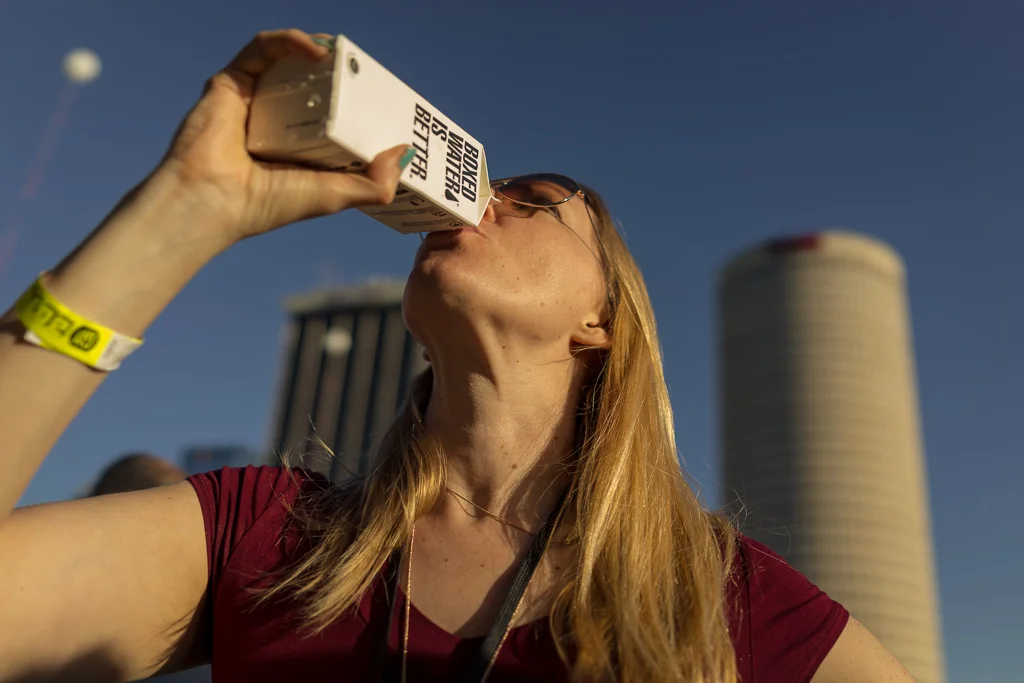 2014 Gasparilla Music Festival