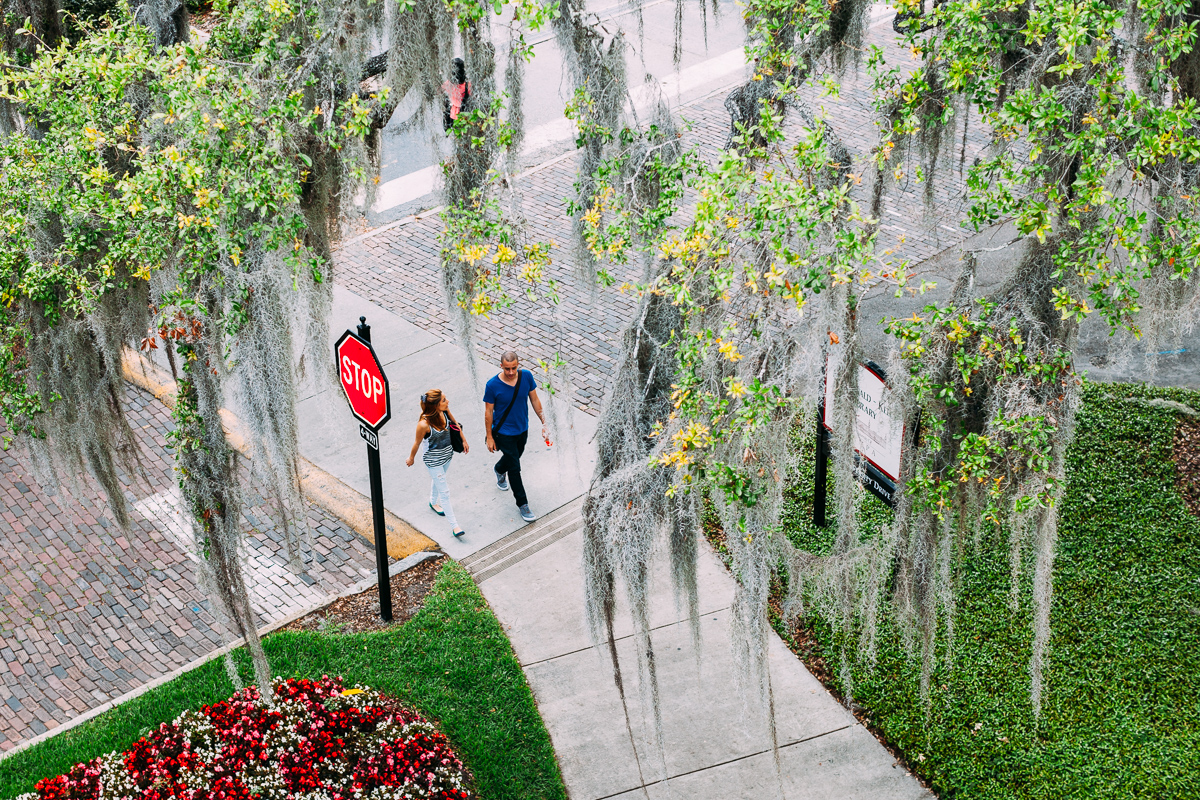 University of Tampa