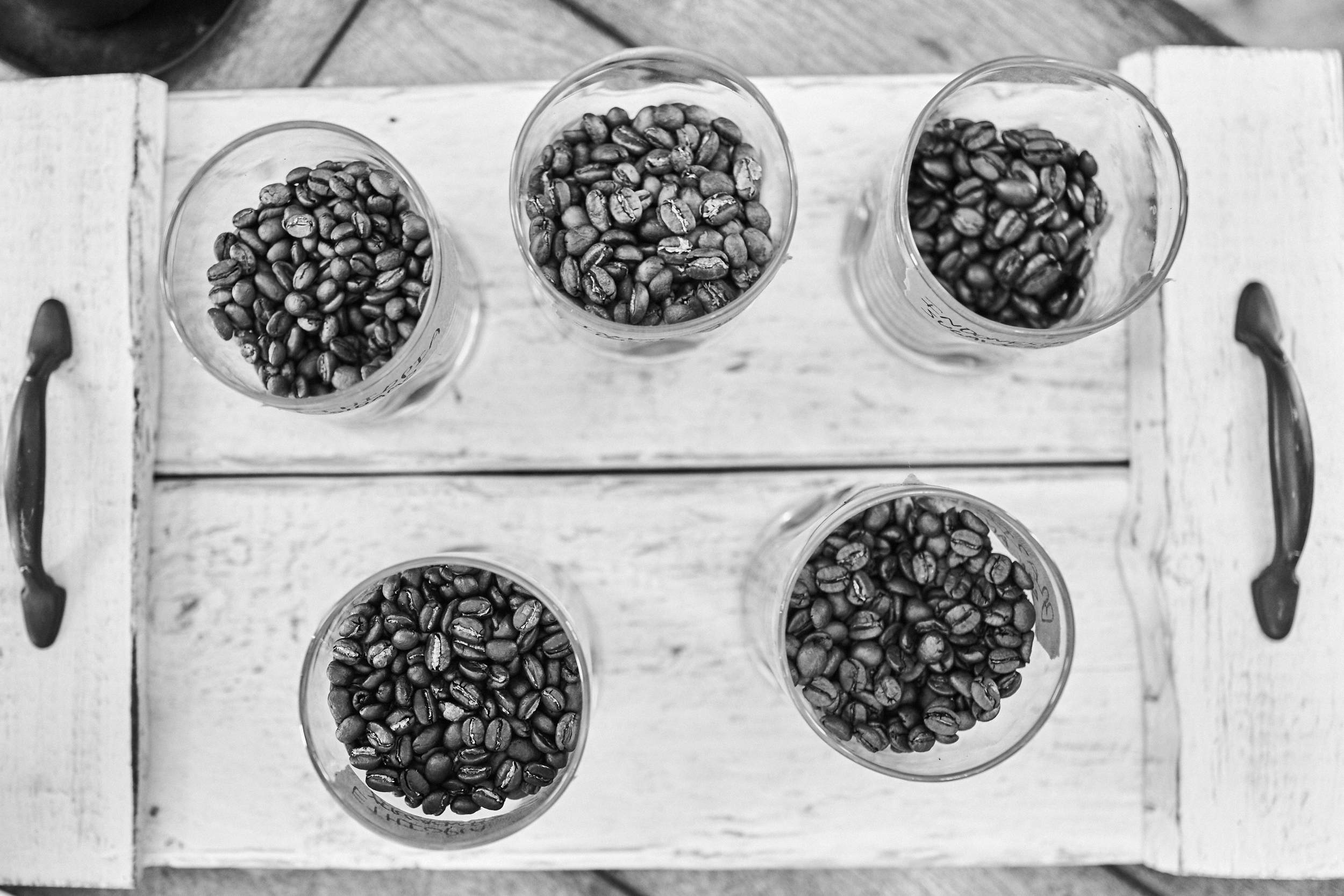 Informal Cupping (Image by Jeremy Allen)