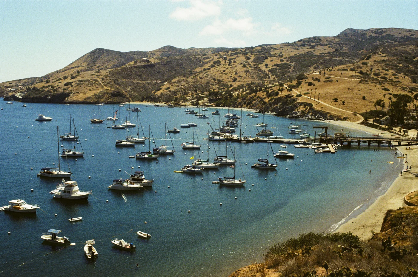 Catalina-17.jpg