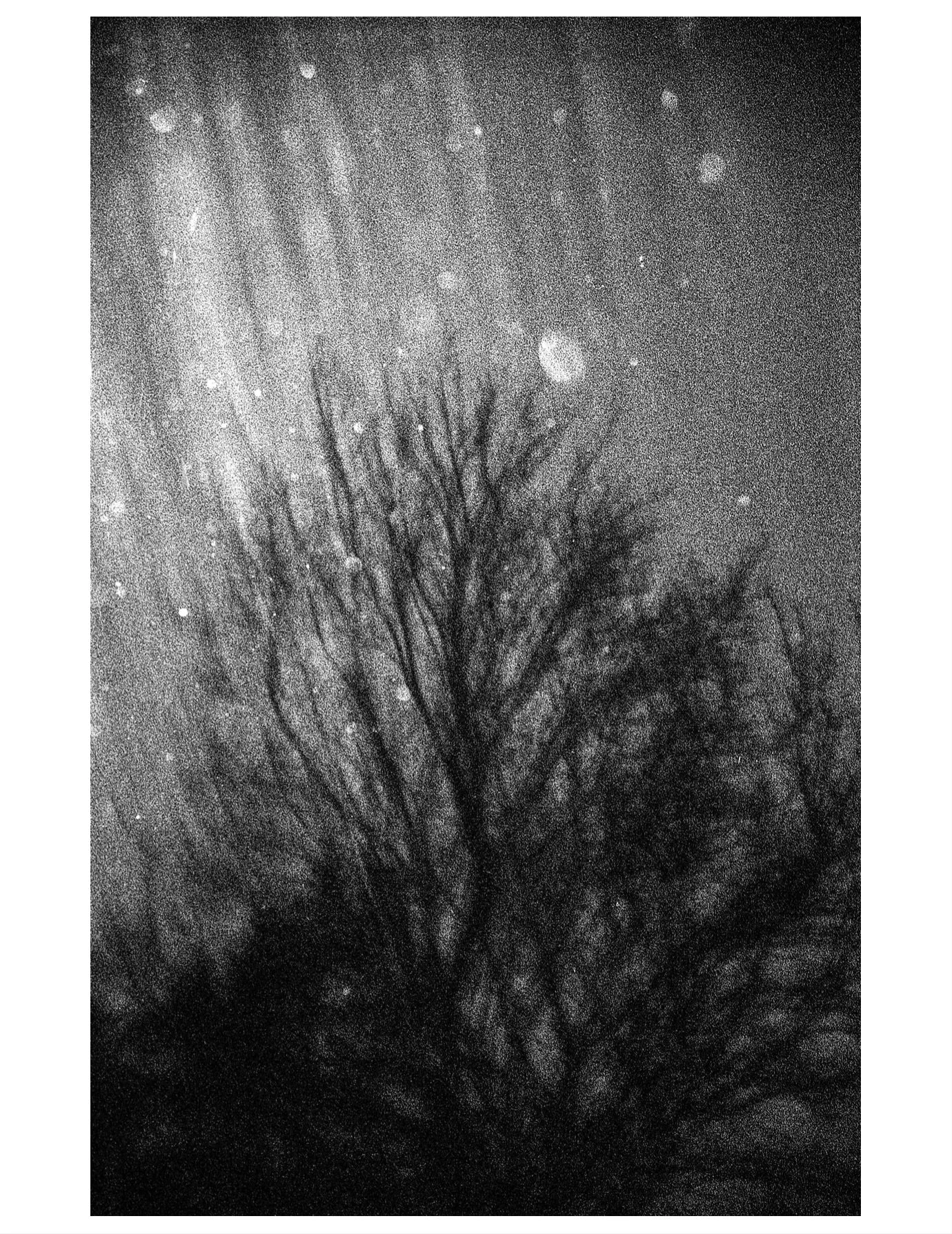 So, I went ahead and bought another Russian Fed 2 rangefinder after my first one broke. I took the Super rokkor 45mm lens of the Minolta 35 IIB rangefinder, which also broke,  creating a frankenstein rangefinder camera. It&rsquo;s fun to play with bu