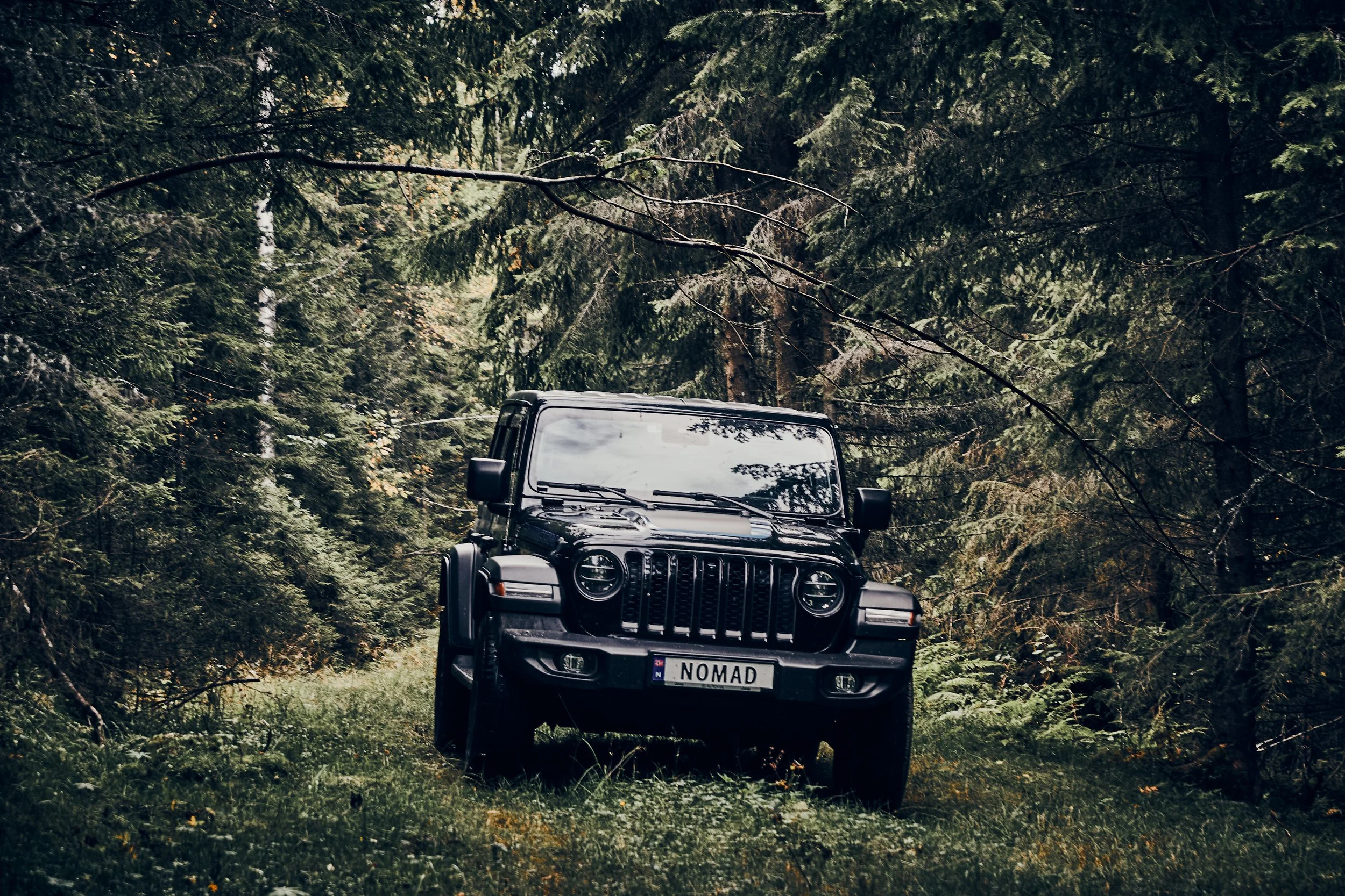 JEEP WRANGLER RUBICON