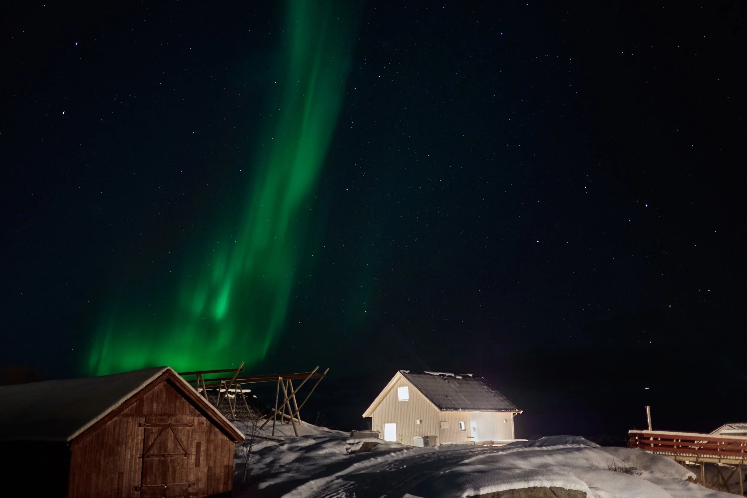 36_Foto Oktawian Gornik_P1411193 1.jpg