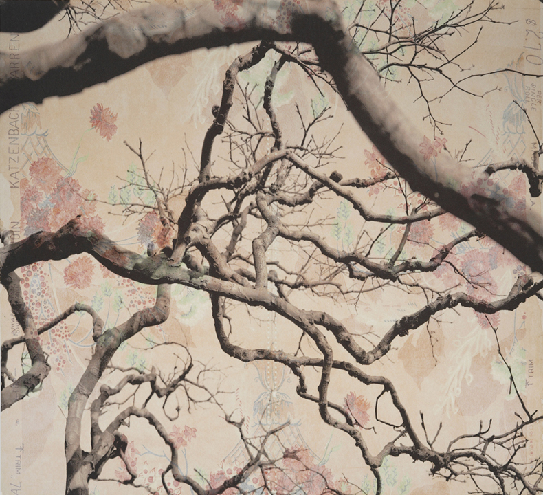    Branches and Boughs IV, &nbsp;2009   Archival digital pigment print on kozo shi, vintage wallpaper   20” X 21.5”  
