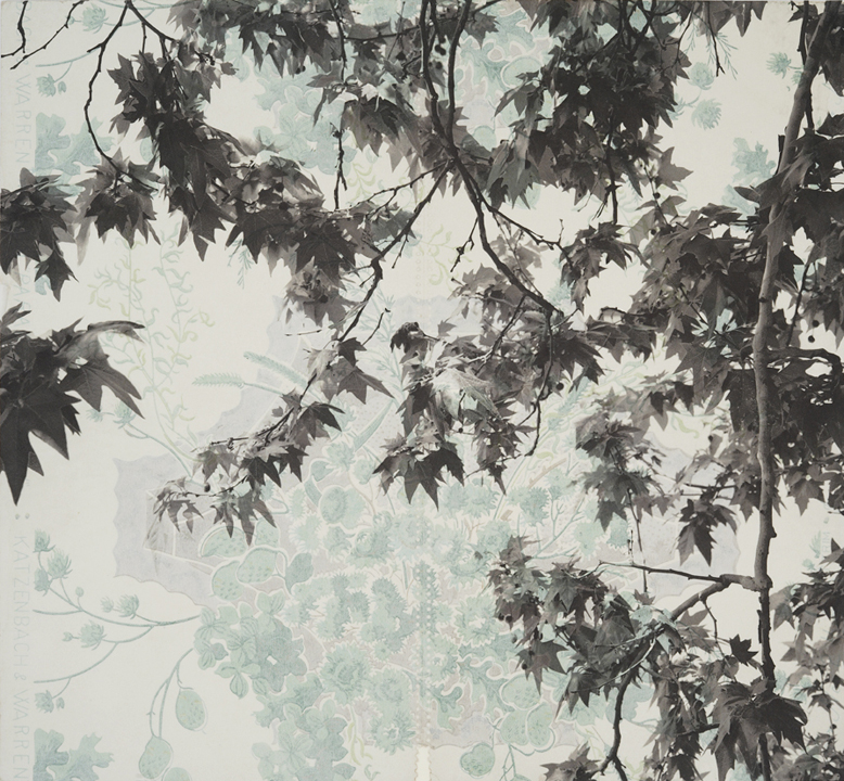   Branches and Boughs VI, &nbsp;2009   Archival digital pigment print on kozo shi, vintage wallpaper   20” X 21.5”  