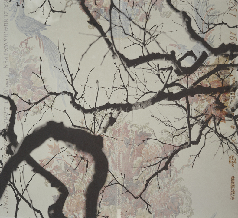    Branches and Boughs VIII, &nbsp;2009   Archival digital pigment print on kozo shi, vintage wallpaper   20” X 21.5”  
