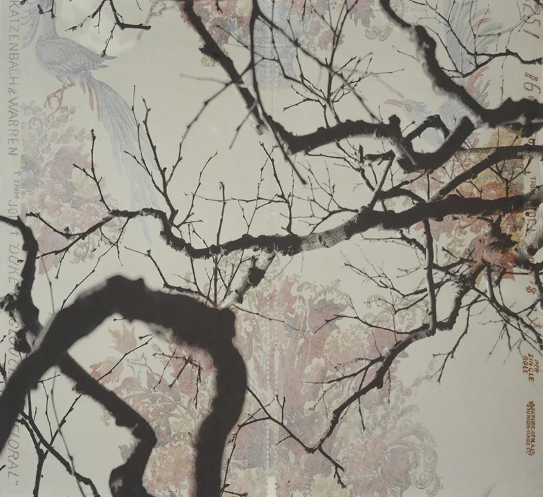 Branches and Boughs VIII, 2009 Archival digital pigment print on kozo shi, vintage wallpaper 20” X 21.5”