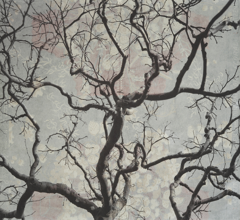    Branches and Boughs IX, &nbsp;2009   Archival digital pigment print on kozo shi, vintage wallpaper   20” X 21.5”  