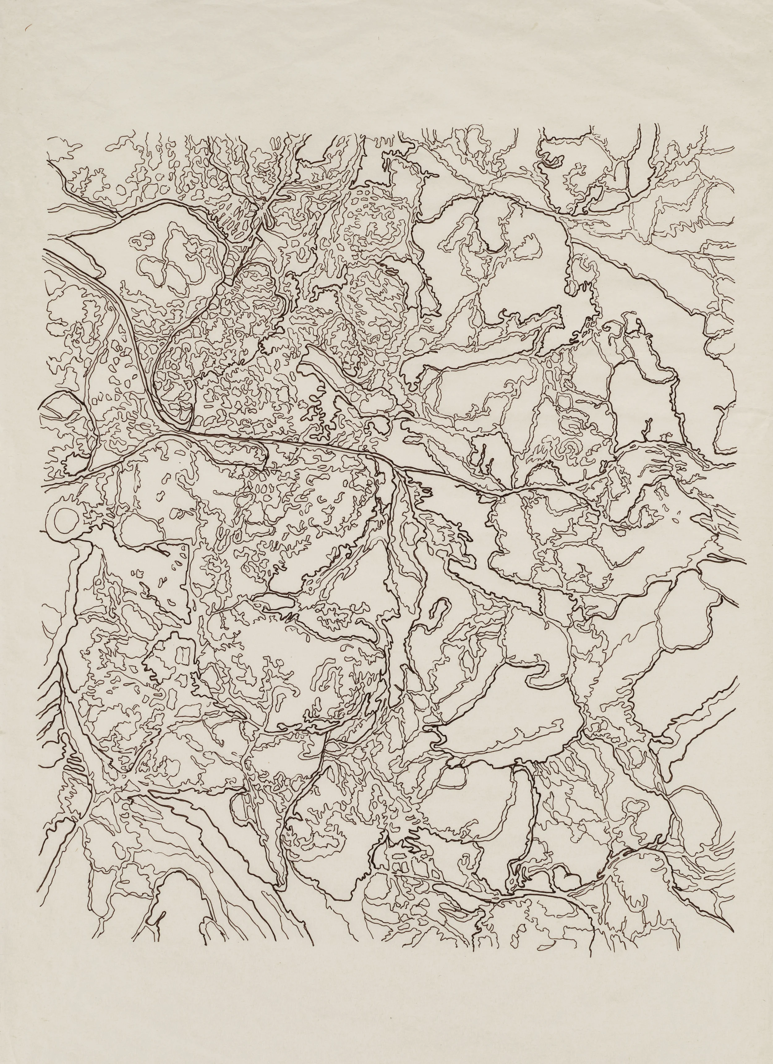GE-7, 2013 Ink on kozo shi 29” X 25.5"