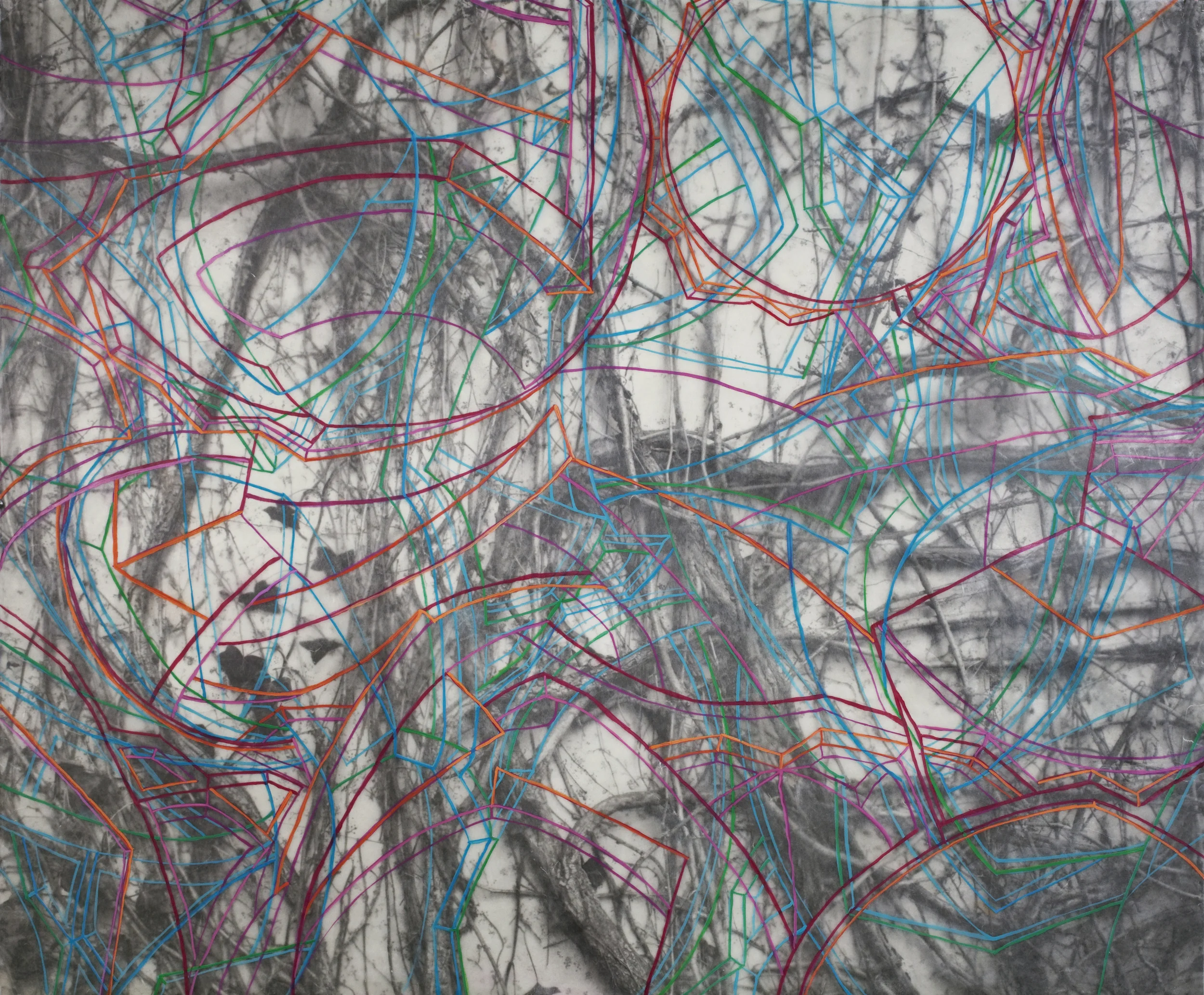 Deccan Queen II, 2011 Oil paint, wax, kozo shi paper, pigment print, in two layers 40” X 47"