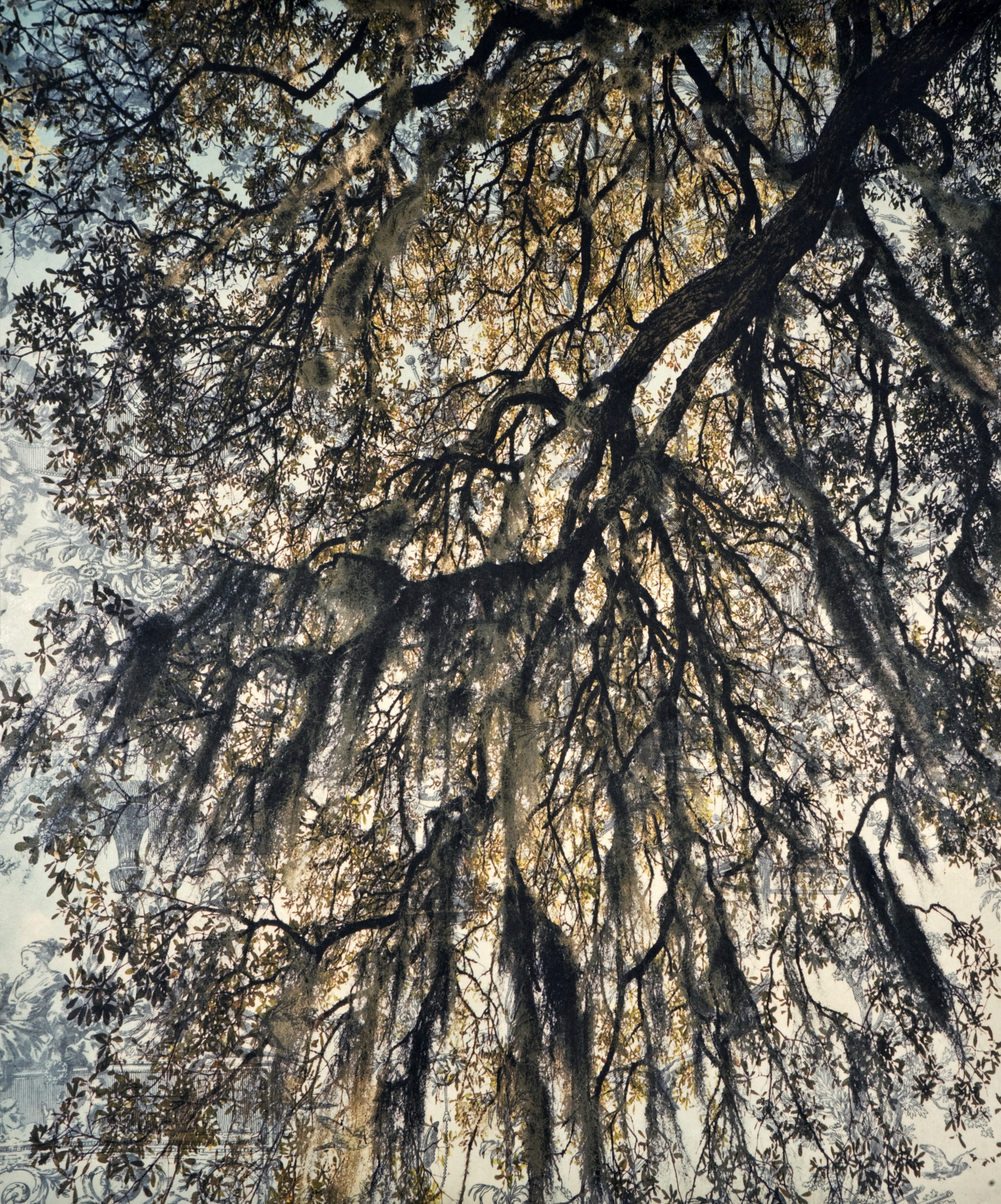    Spanish Moss Toile IV, &nbsp;2010   Archival digital pigment print on kozo shi, wallpaper, wax   24” X 20"  