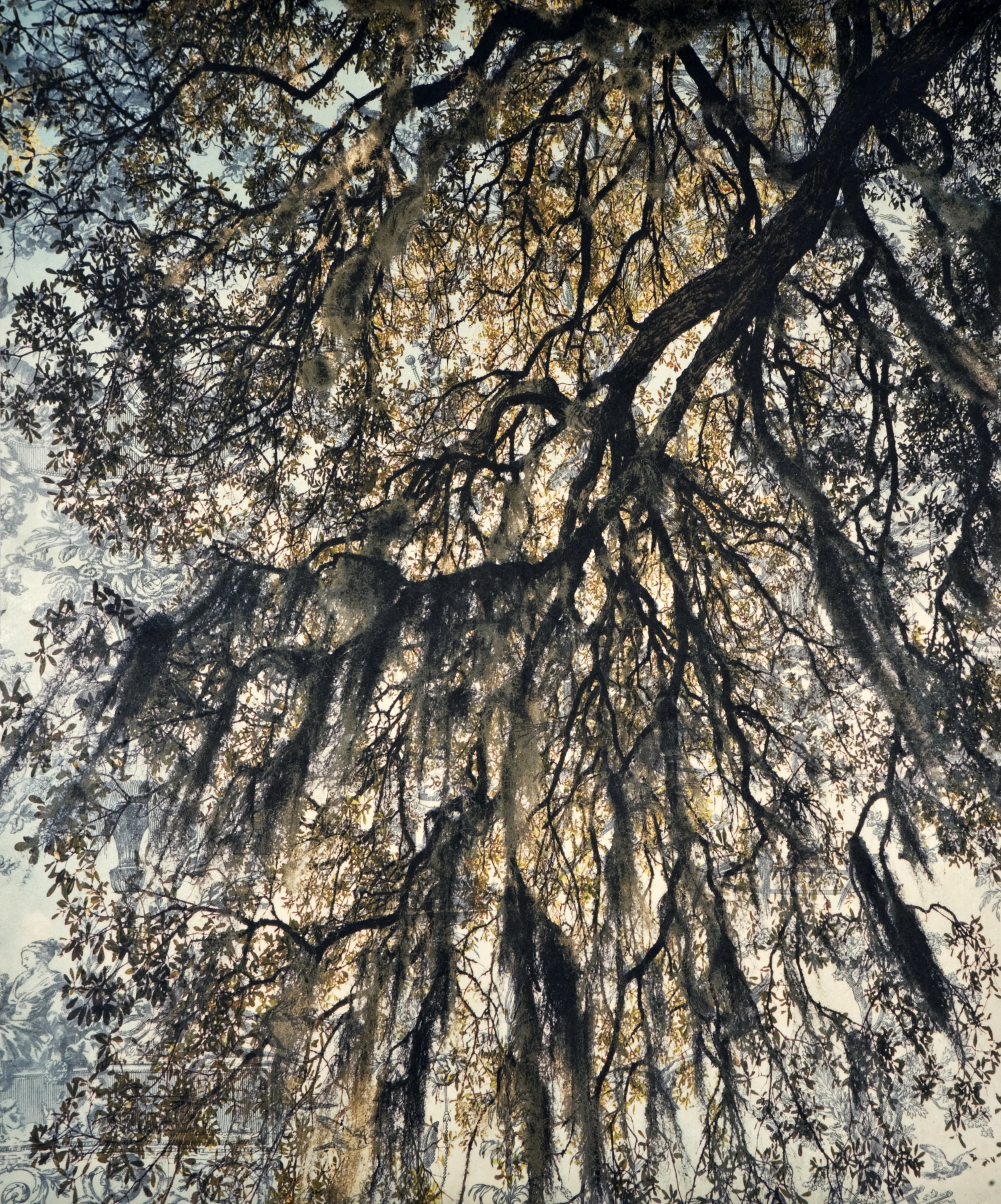 Spanish Moss Toile IV, 2010 Archival digital pigment print on kozo shi, wallpaper, wax 24” X 20"