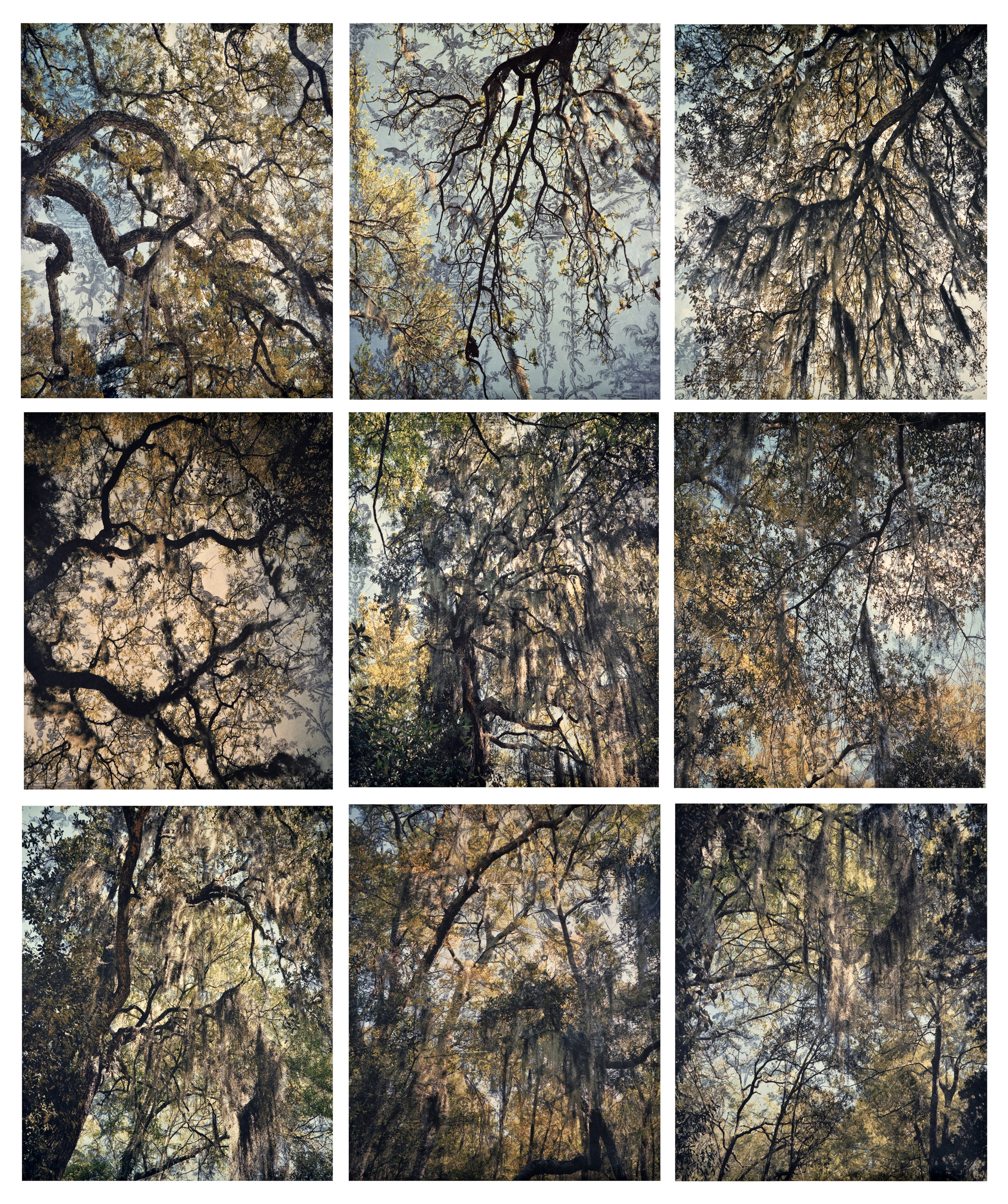    Spanish Moss Toile Grid, &nbsp;2010   Archival digital pigment print on kozo shi, wallpaper, wax, 9 - 24" X 20"   78.5” X 66.5"  
