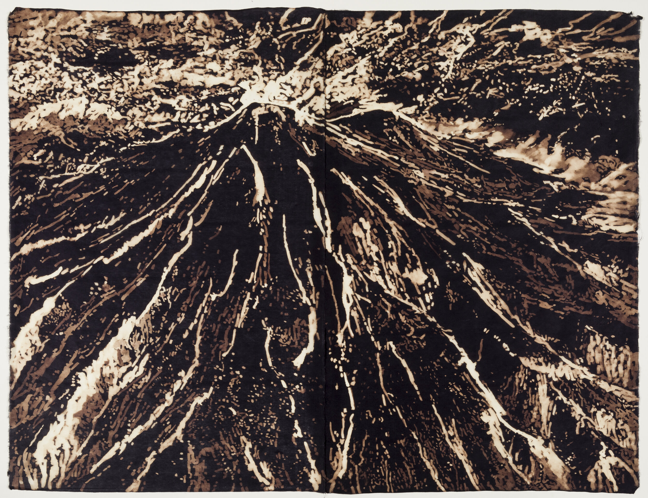    Mount Taranaki, New Zealand,  2021   Bleach on black kozo,  39 “ x  50 ” 