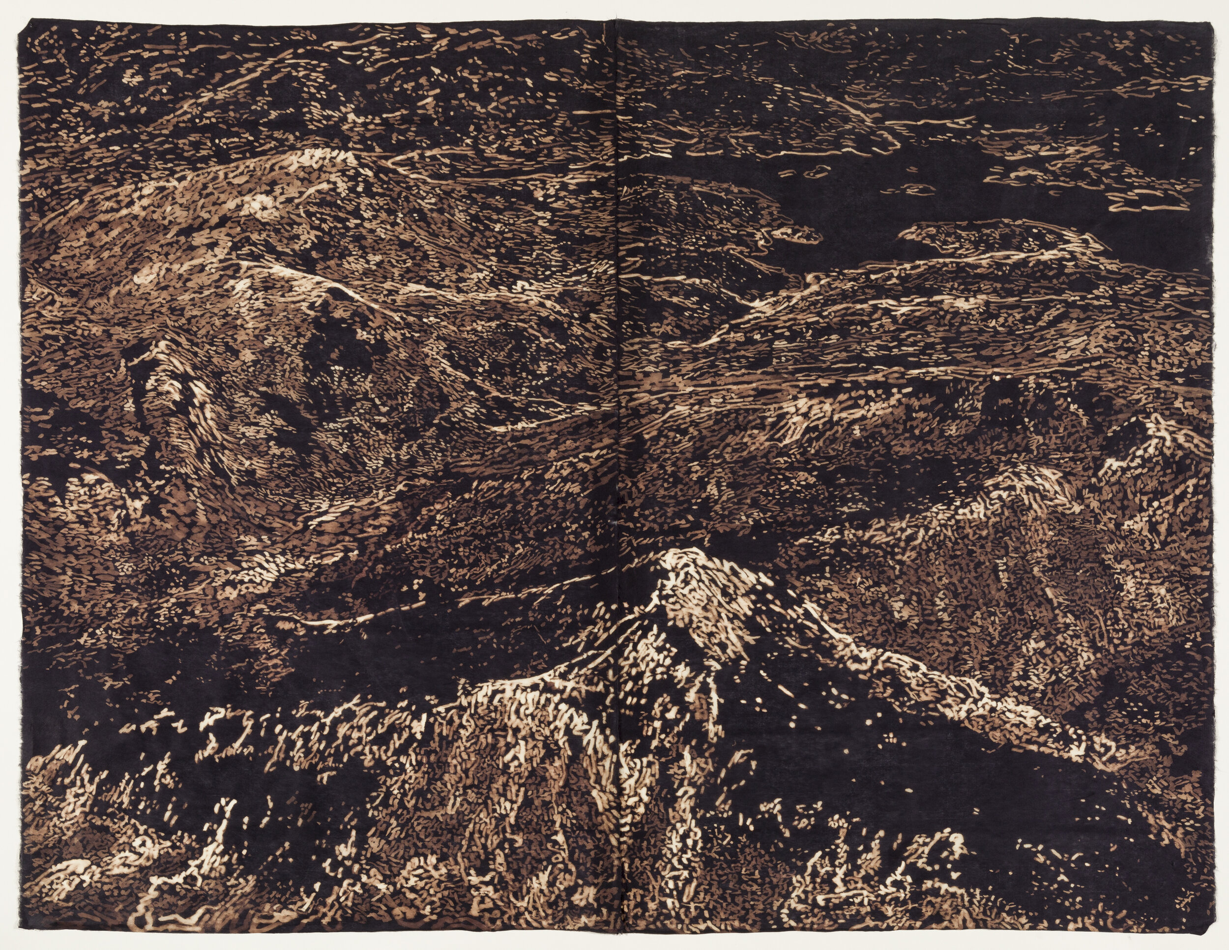    Adam's Peak, Sri Lanka, 2021   Bleach on black kozo, 39 “ x  50” 