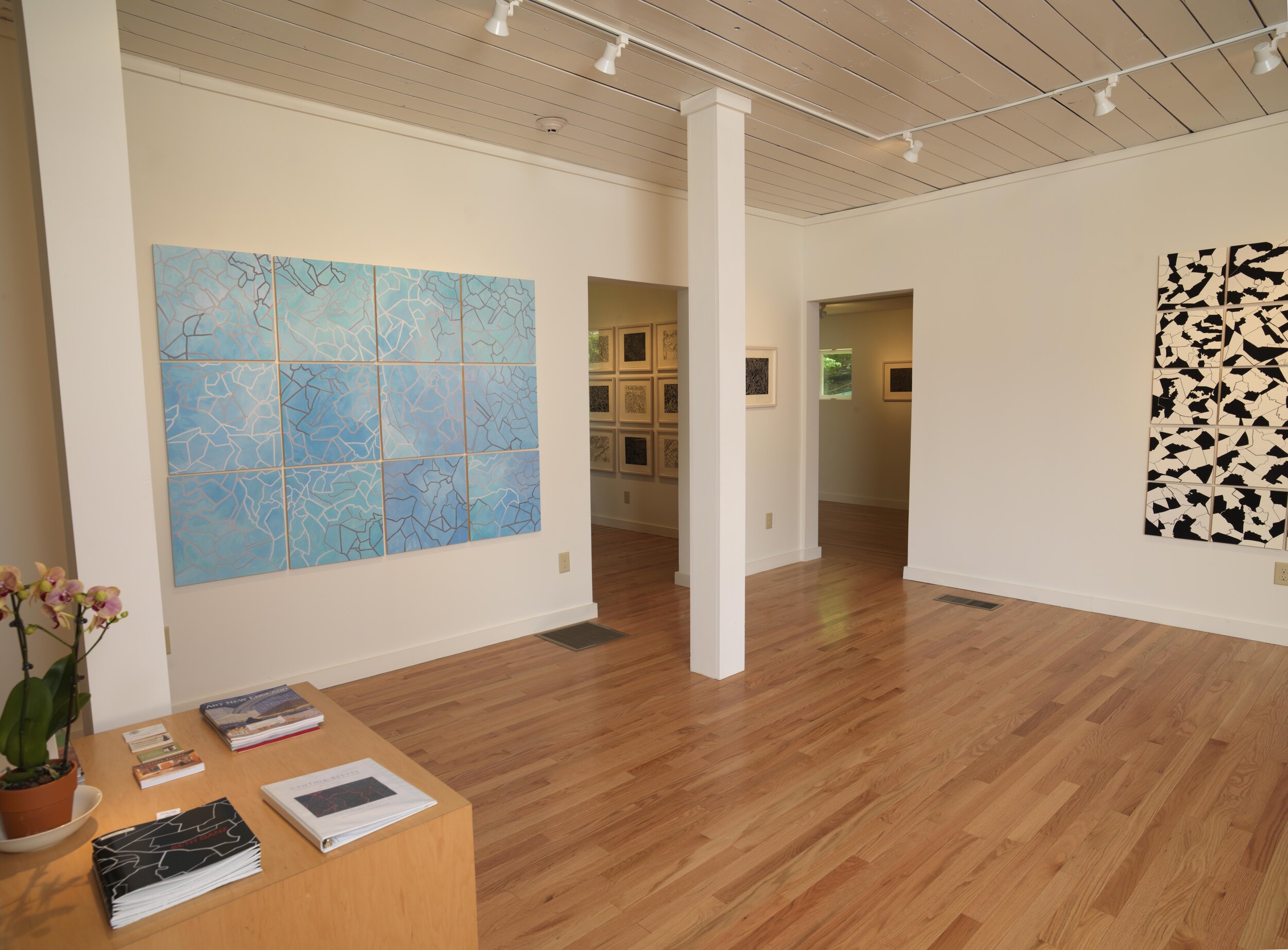    Grids Exhibiton, 2015   Cynthia Reeves Gallery WaIpol, New Hampshire 