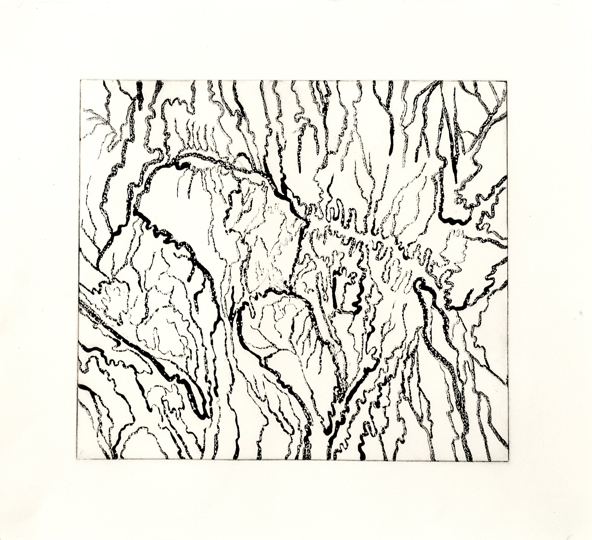    Mountains 2   Sugar lift and aquatint etching, 2015, paper size: 14.75” x 16”, plate size: 10.25” x 11.75”, variable edition  