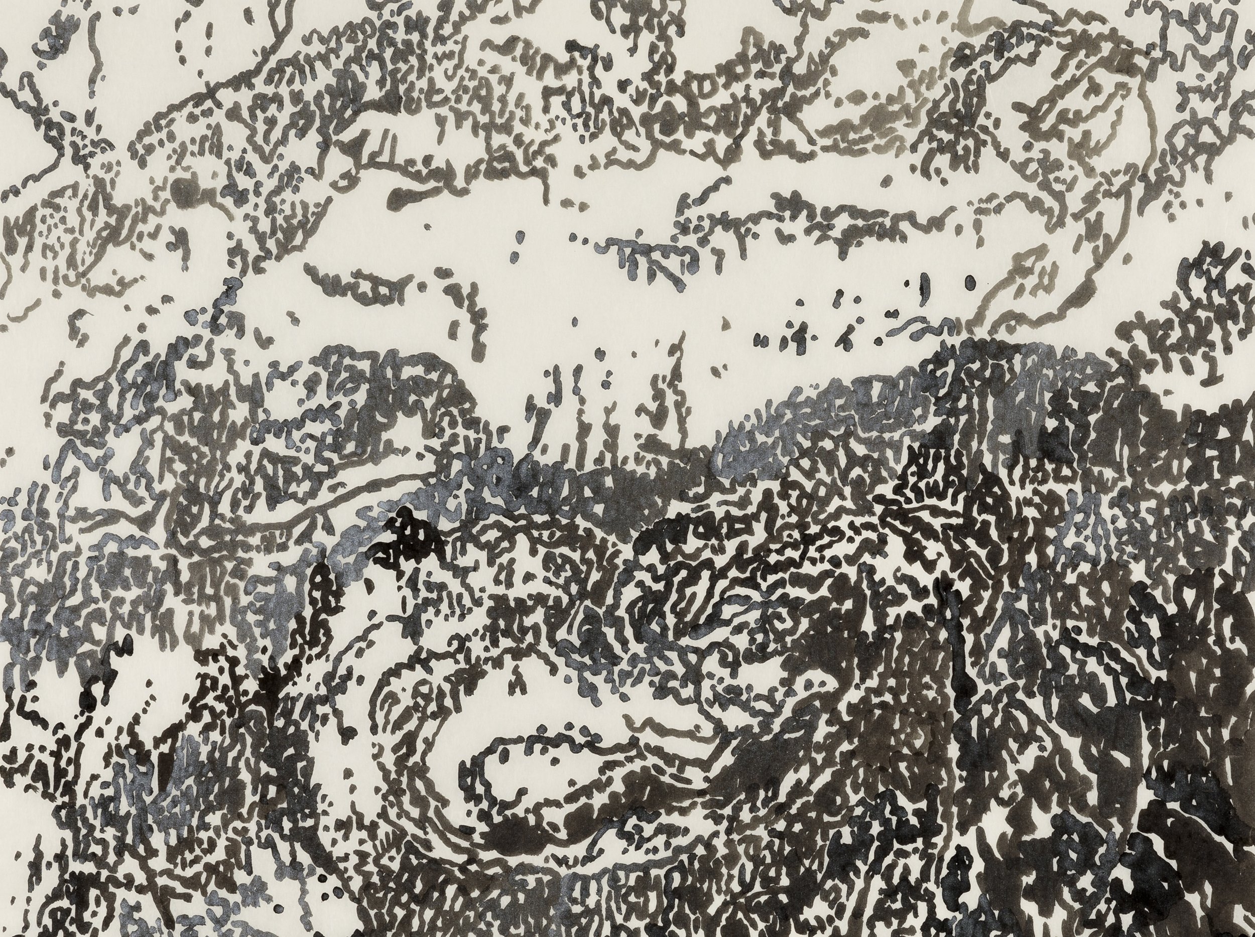   Mount Sainte Victoire, 2023  , Sumi ink with silver on kozo, detail 