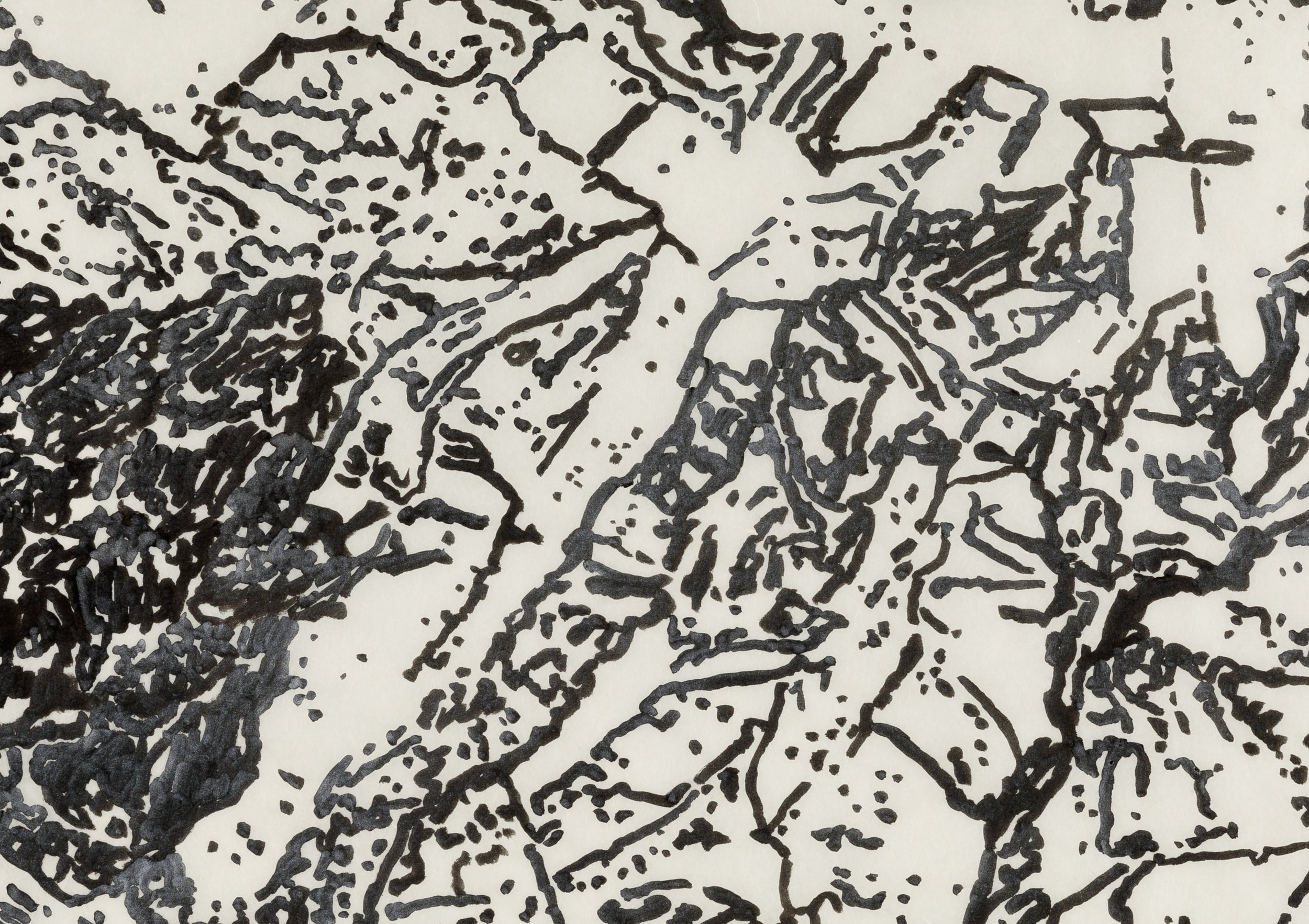    Segovia V5, 2023  ,, Sumi ink with silver on kozo, detail 