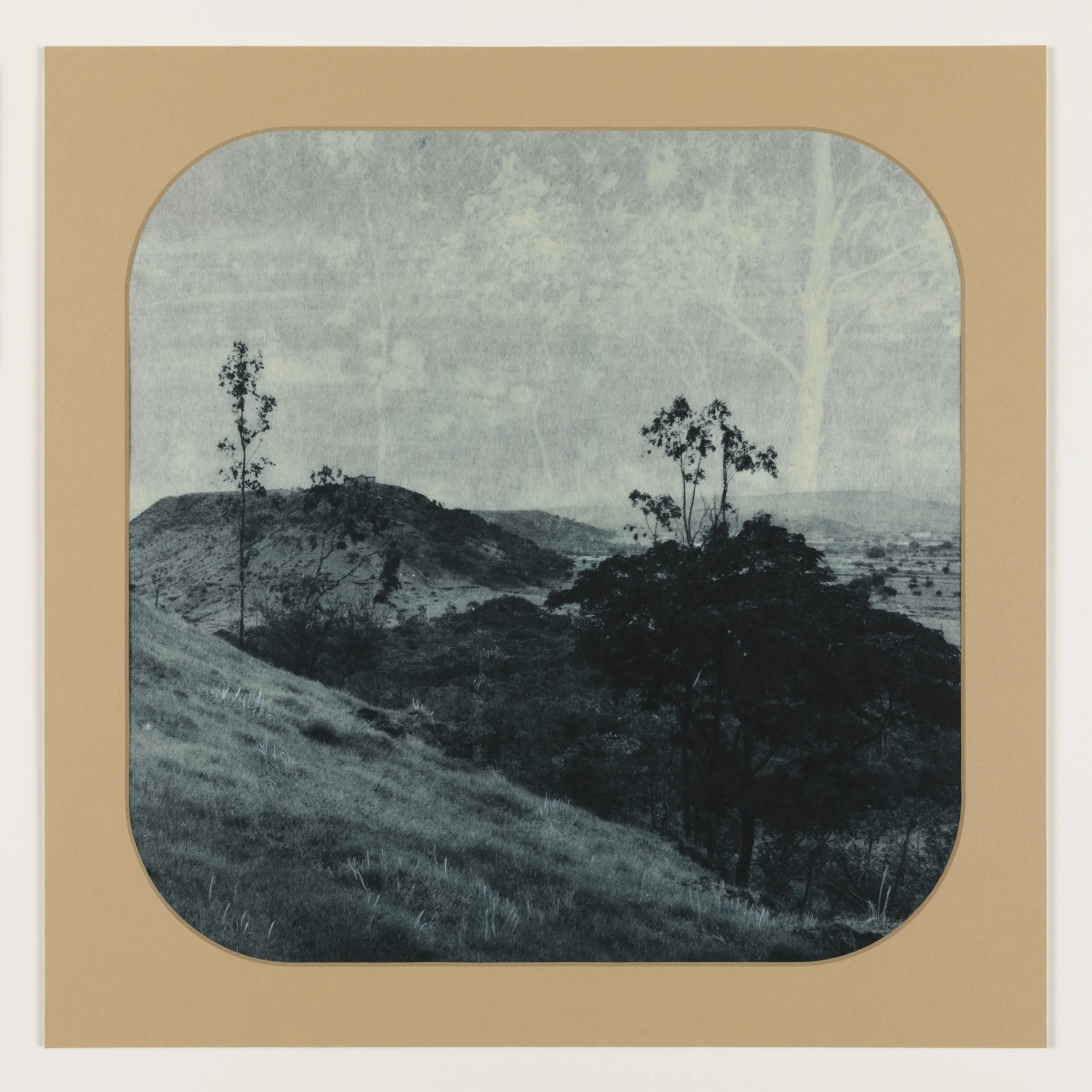 Blue Willow 1 , 2025 Photogravure on kozo paper in window mat 15” x 15” Unique