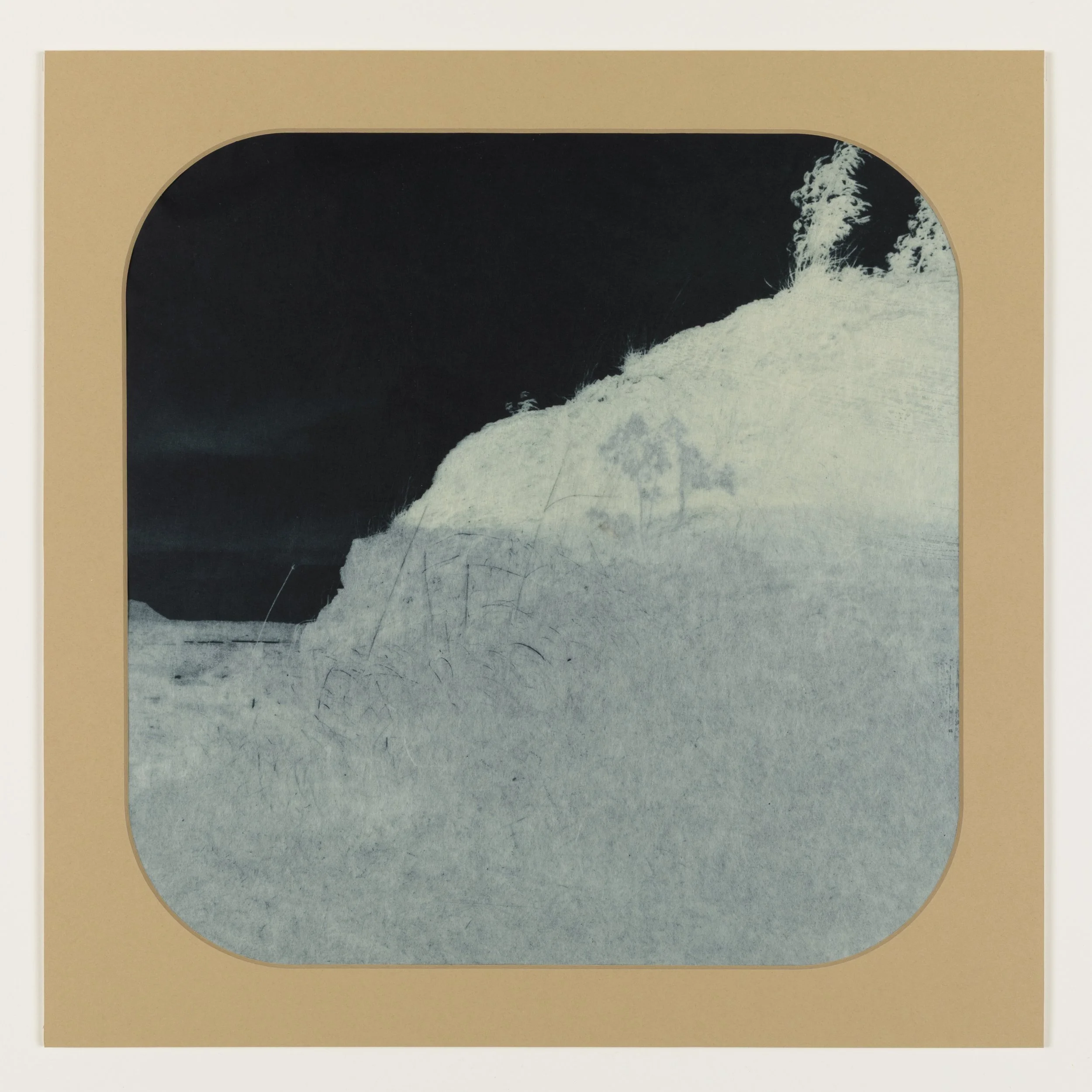 Blue Willow 2, 2025 Photogravure on kozo paper in window mat 15” x 15” Unique