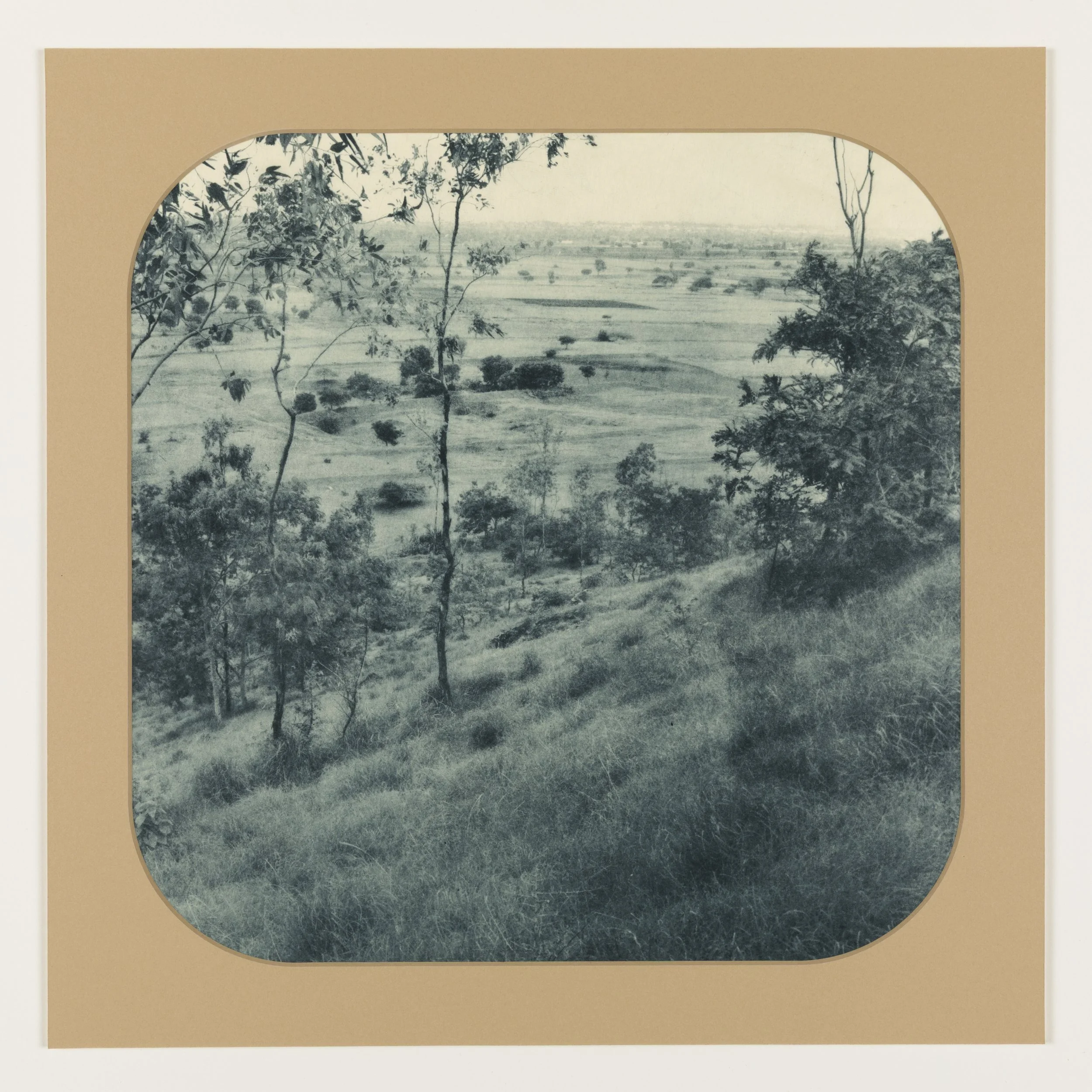 Blue Willow 9 , 2025 Photogravure on kozo paper in window mat 15” x 15” Unique