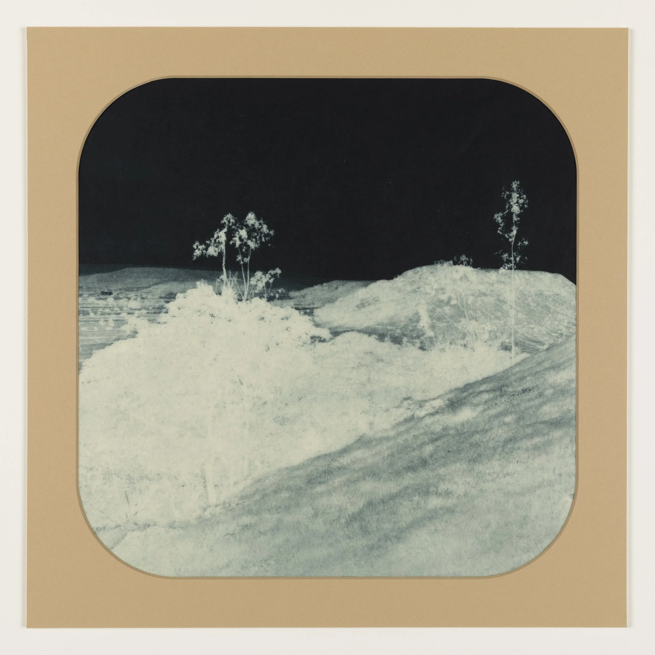Blue Willow 10 , 2025 Photogravure on kozo paper in window mat 15” x 15” Unique