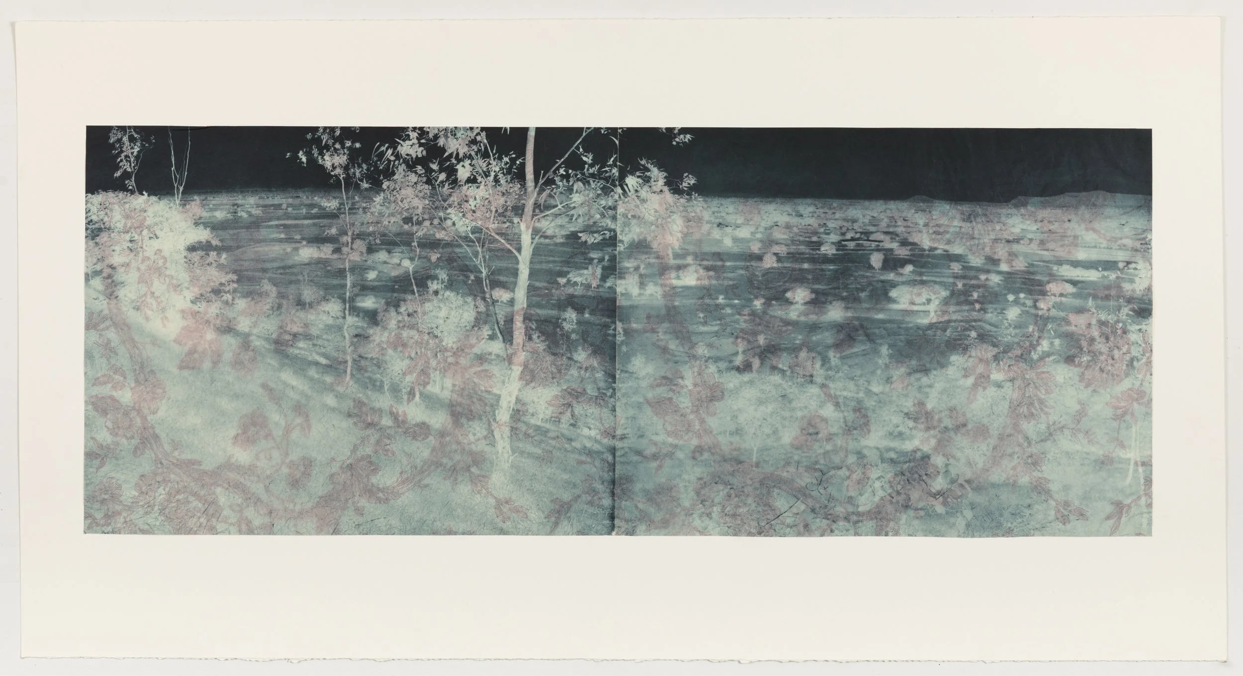 Blue Willow Diptych 1, 2006 Photogravure on kozo paper layered with vintage wallpaper Image size: 15” x 39” Unique
