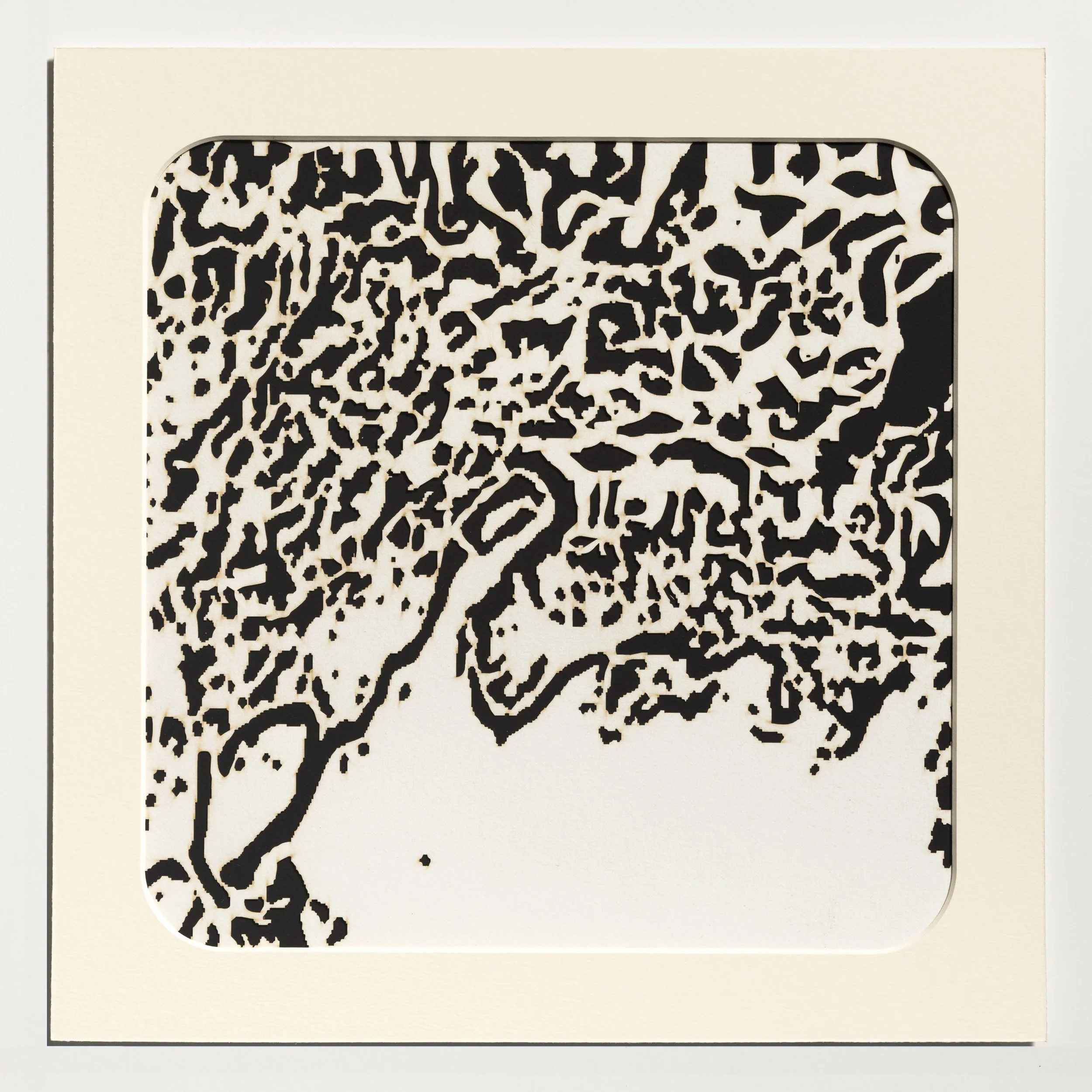 Laser Drawing 11, 2025 Laser cut Chinese rice paper in window mat with black mat board backing 15” x 15” Unique