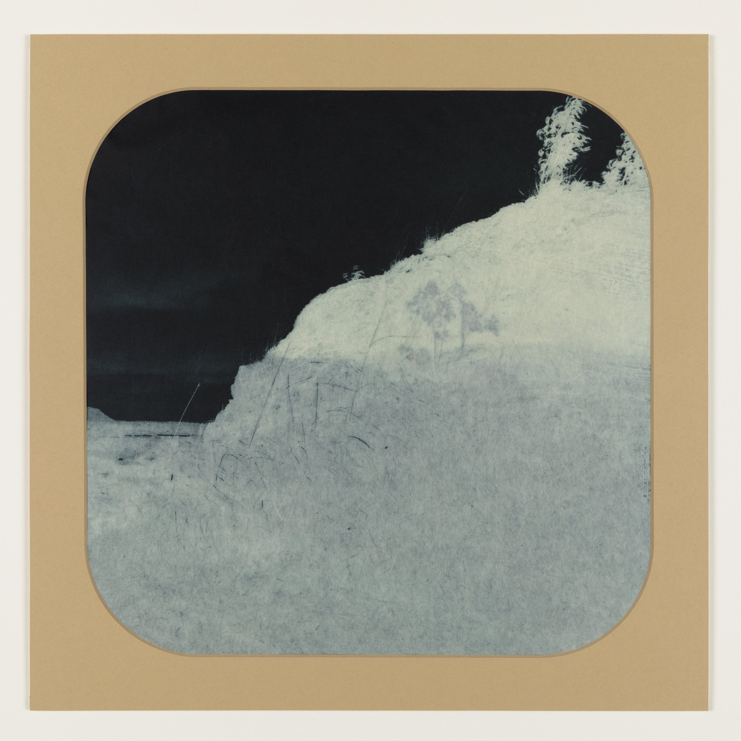    Blue Willow 2  , 2025, Photogravure on kozo in window mat, 15” x 15”, Unique  