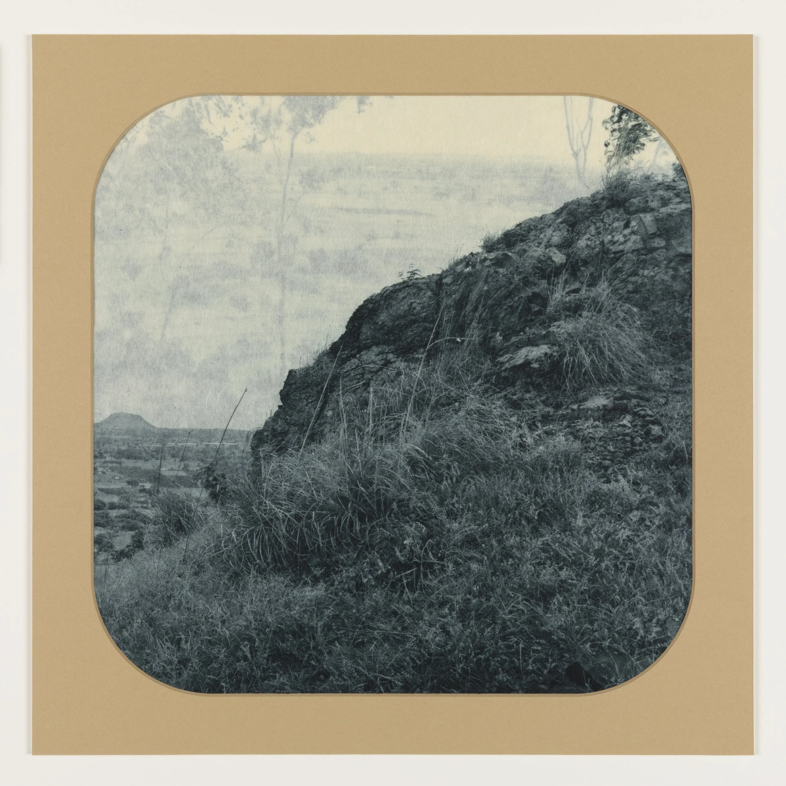    Blue Willow 5,   2025, Photogravure on kozo in window mat, 15” x 15”, Unique  