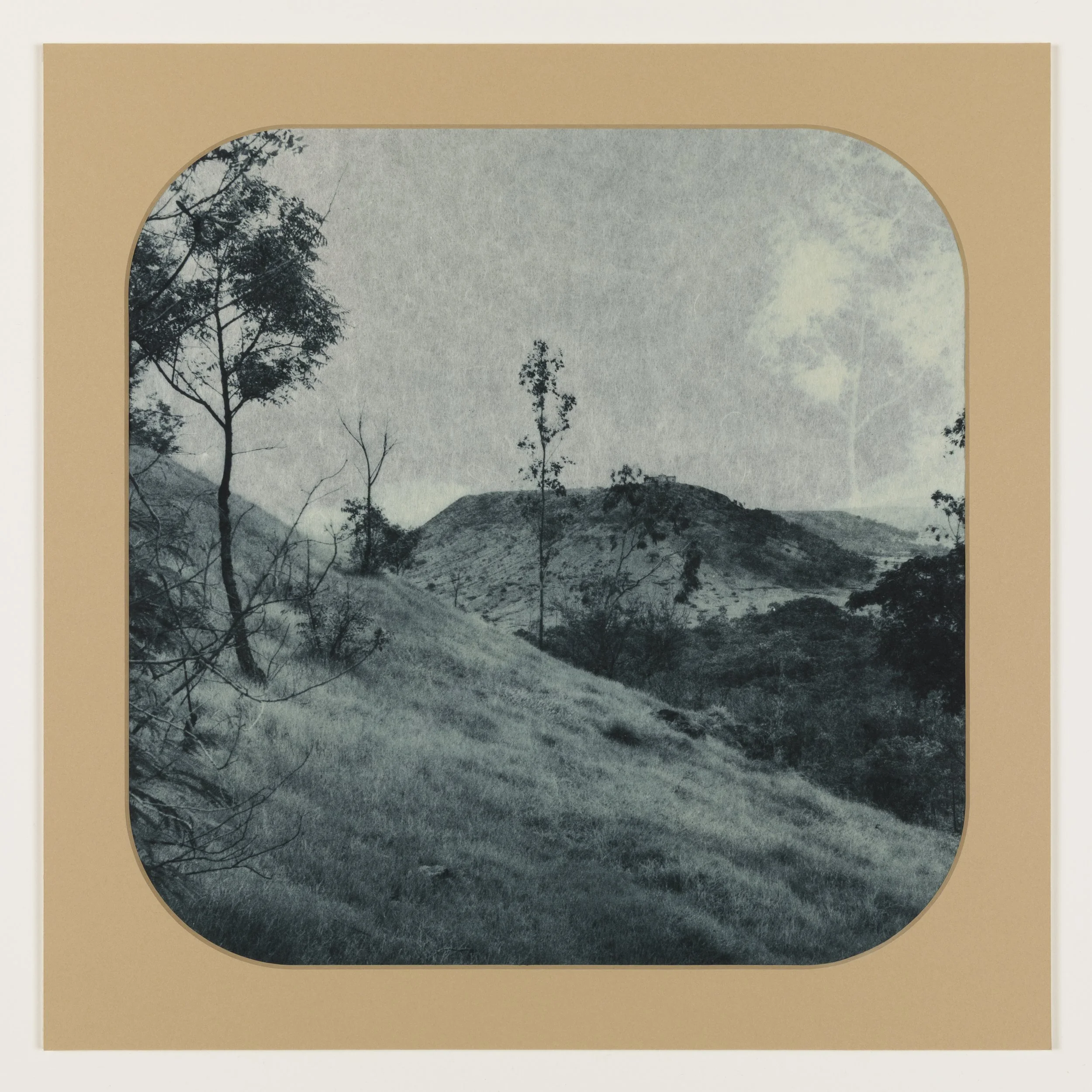    Blue Willow 7  , 2025, Photogravure on kozo in window mat, 15” x 15”, Unique  