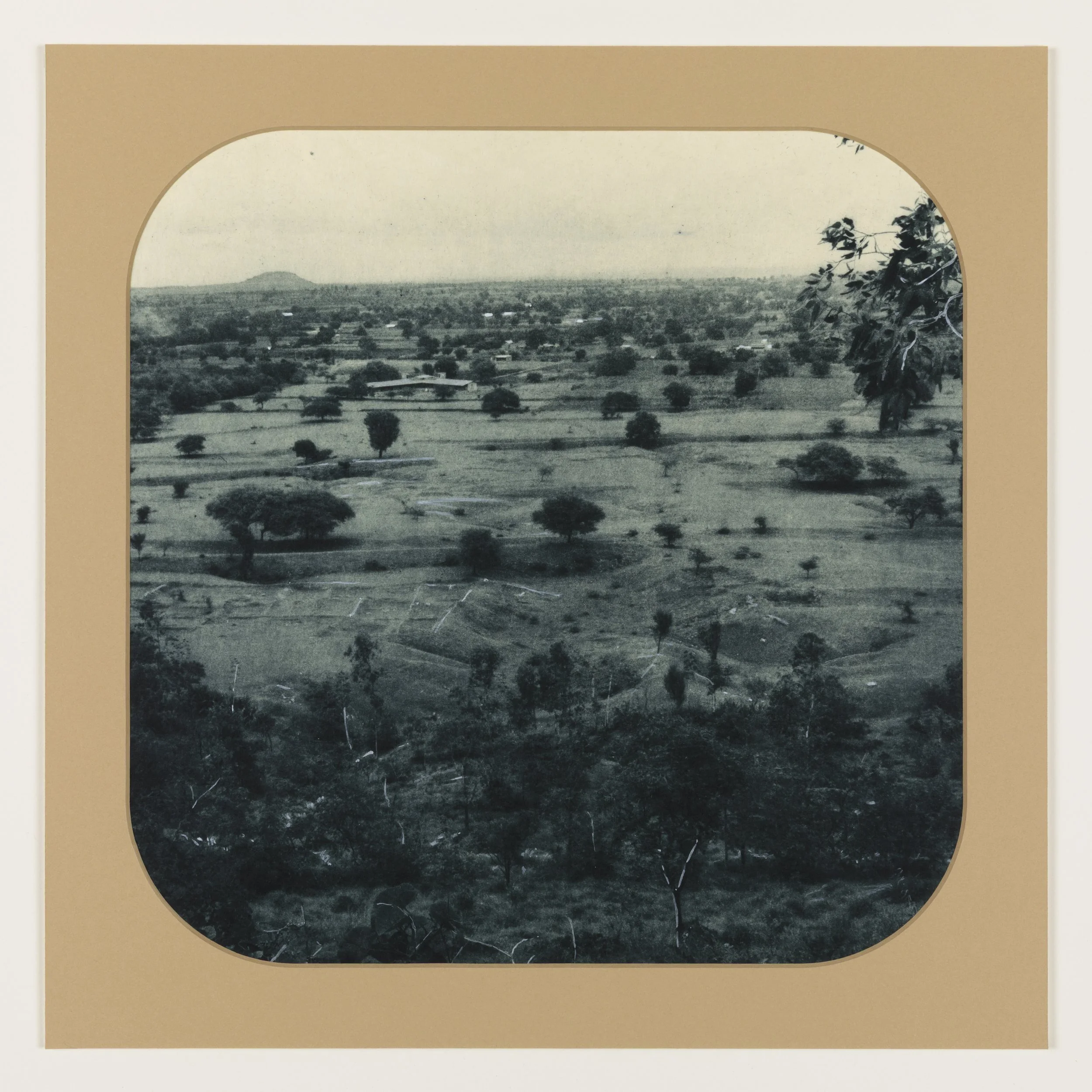    Blue Willow 12  , 2025, Photogravure on kozo in window mat, 15” x 15”, Unique  