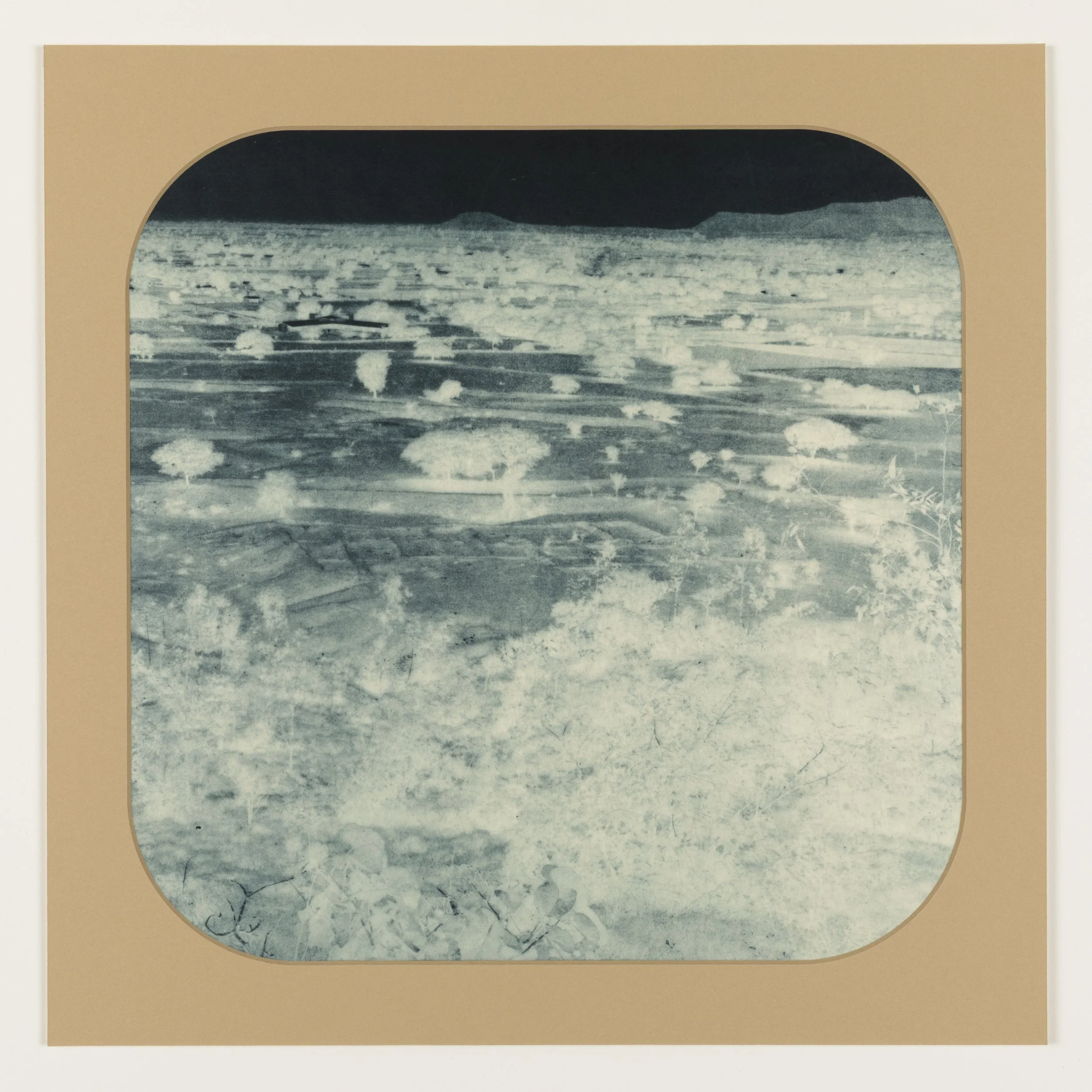    Blue Willow 11  , 2025, Photogravure on kozo in window mat, 15” x 15”, Unique  