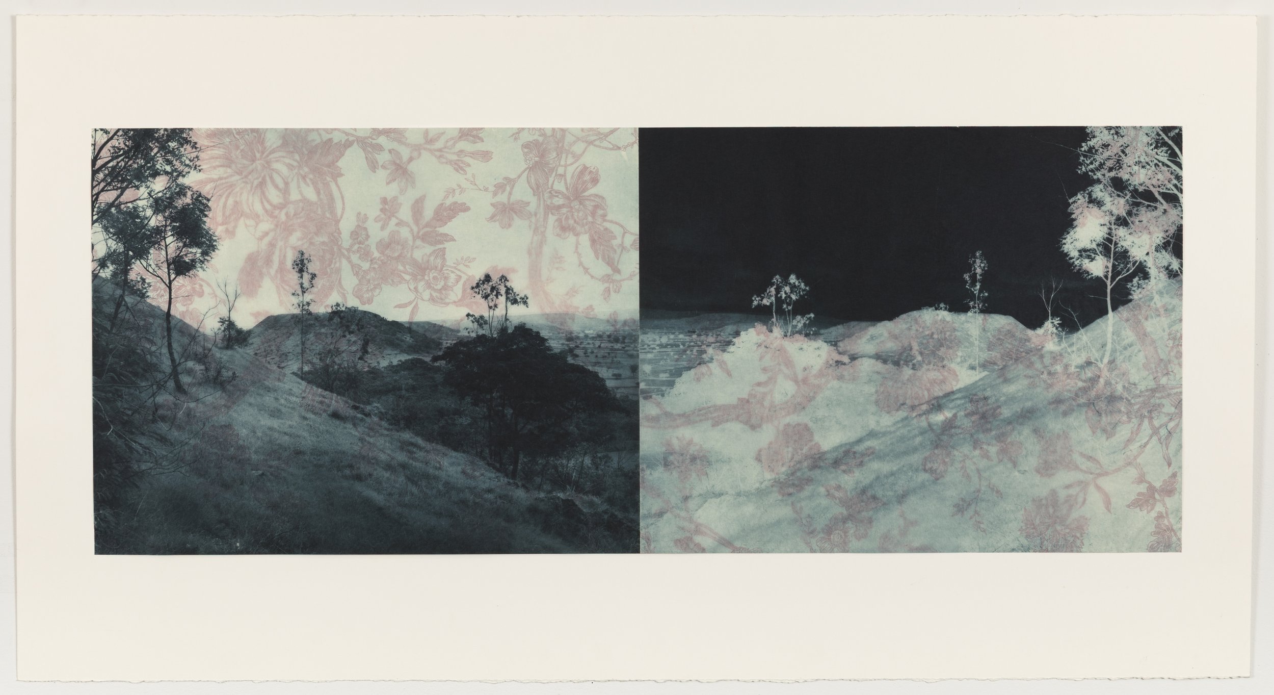    Blue Willow Diptych 2,   2006, Photogravure on kozo layered over vintage wallpaper, 15” x 39”, unique 