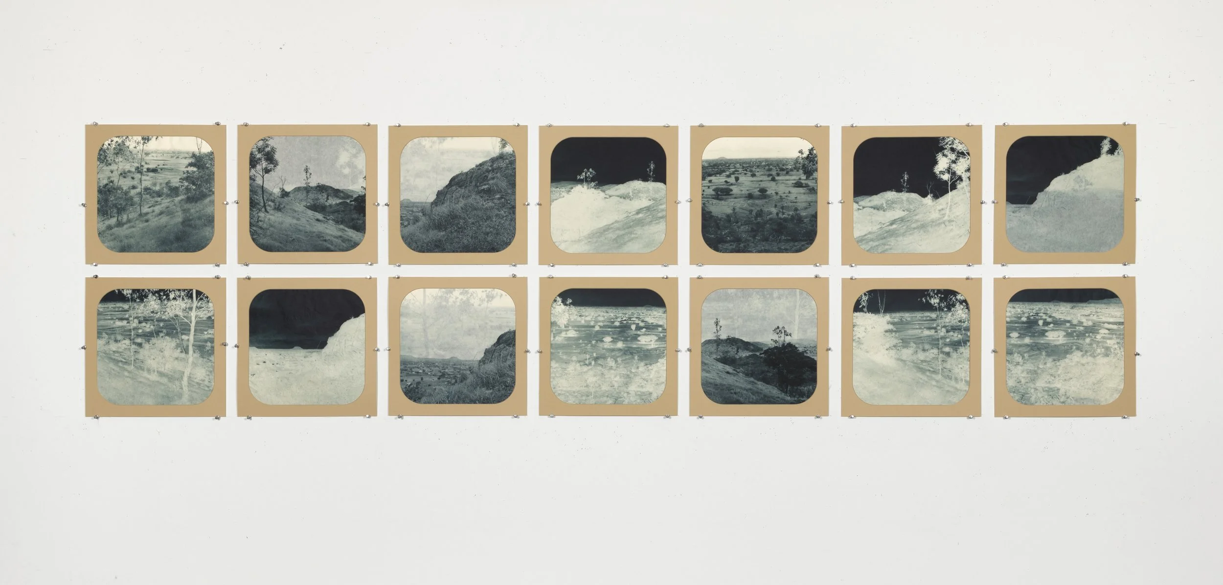    Blue Willow , installation shot,   2025, 12 photogravures in window mats, Unique  