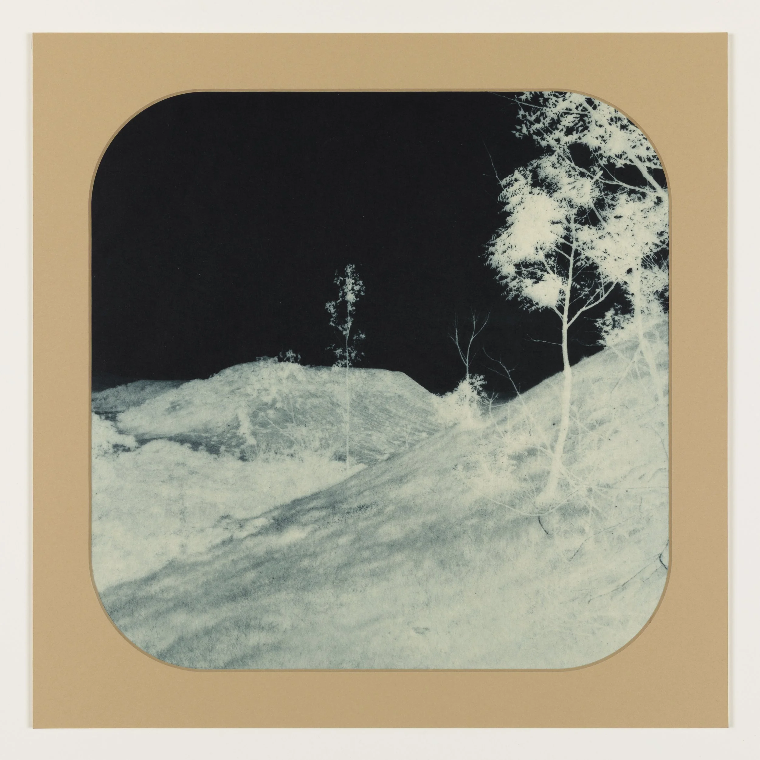    Blue Willow 3  , 2025, Photogravure on kozo in window matt, 15” x 15”, Unique  