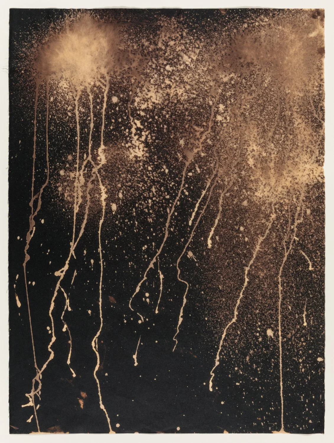    CV19 1 , 2020  Clorox on Black Kozo,  20” x 26” 