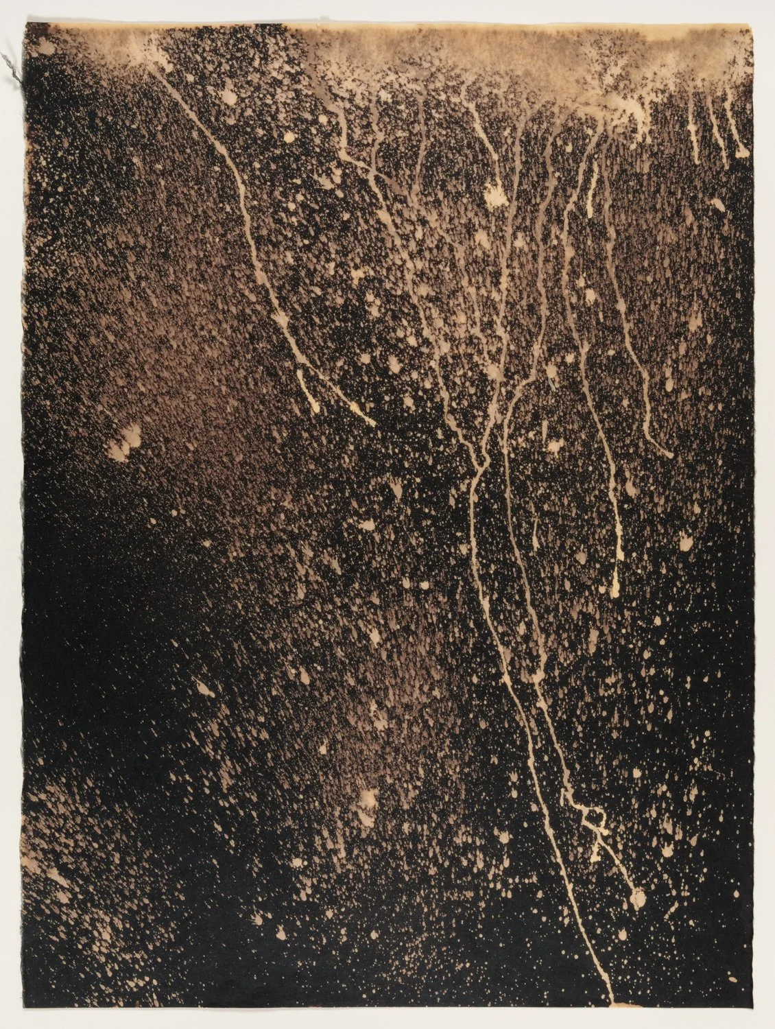    CV19 3 , 2020  Clorox on Black Kozo,  20” x 26” 